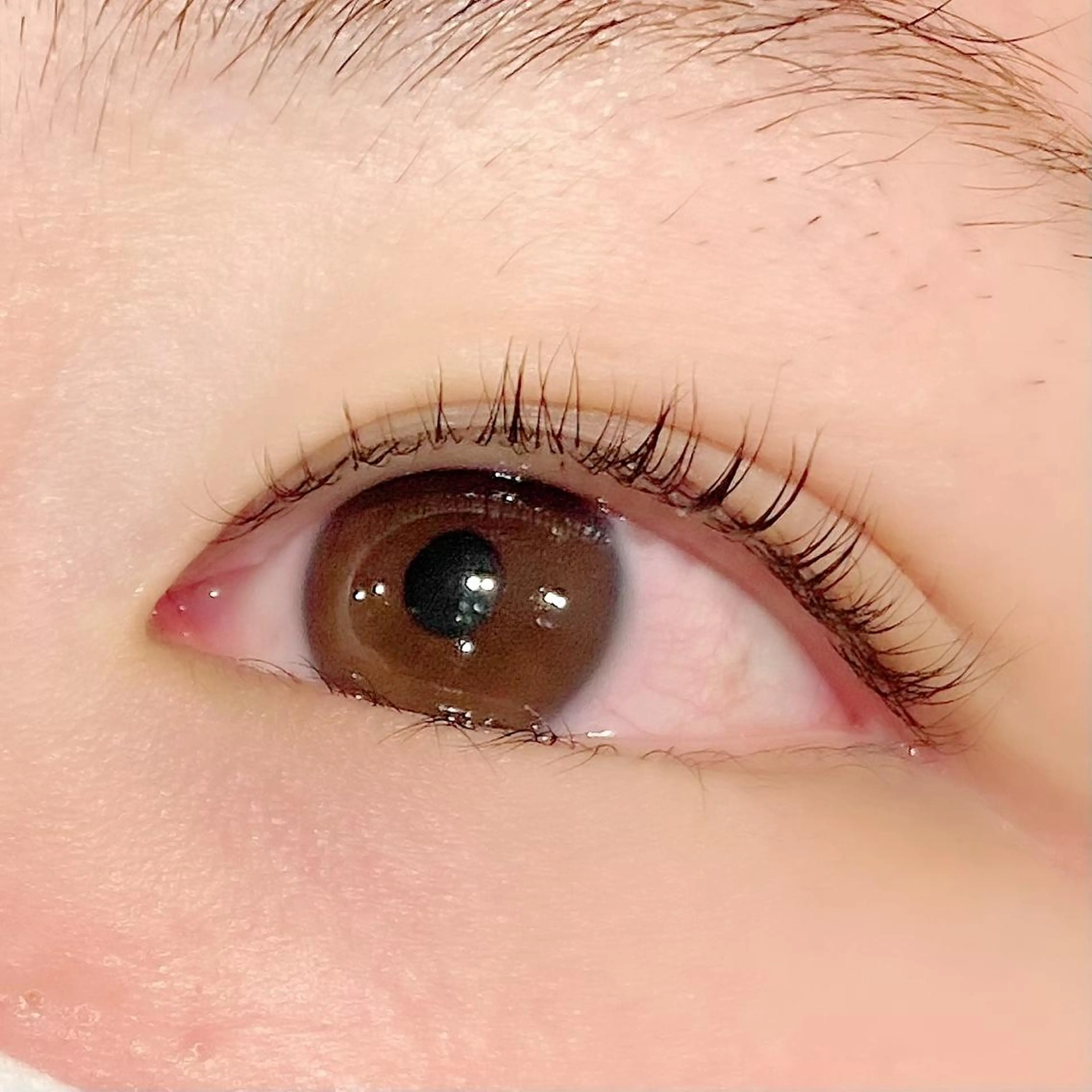 マツエク・マツパ マツパ ナオエ ハルカのマツエク・マツパデザイン