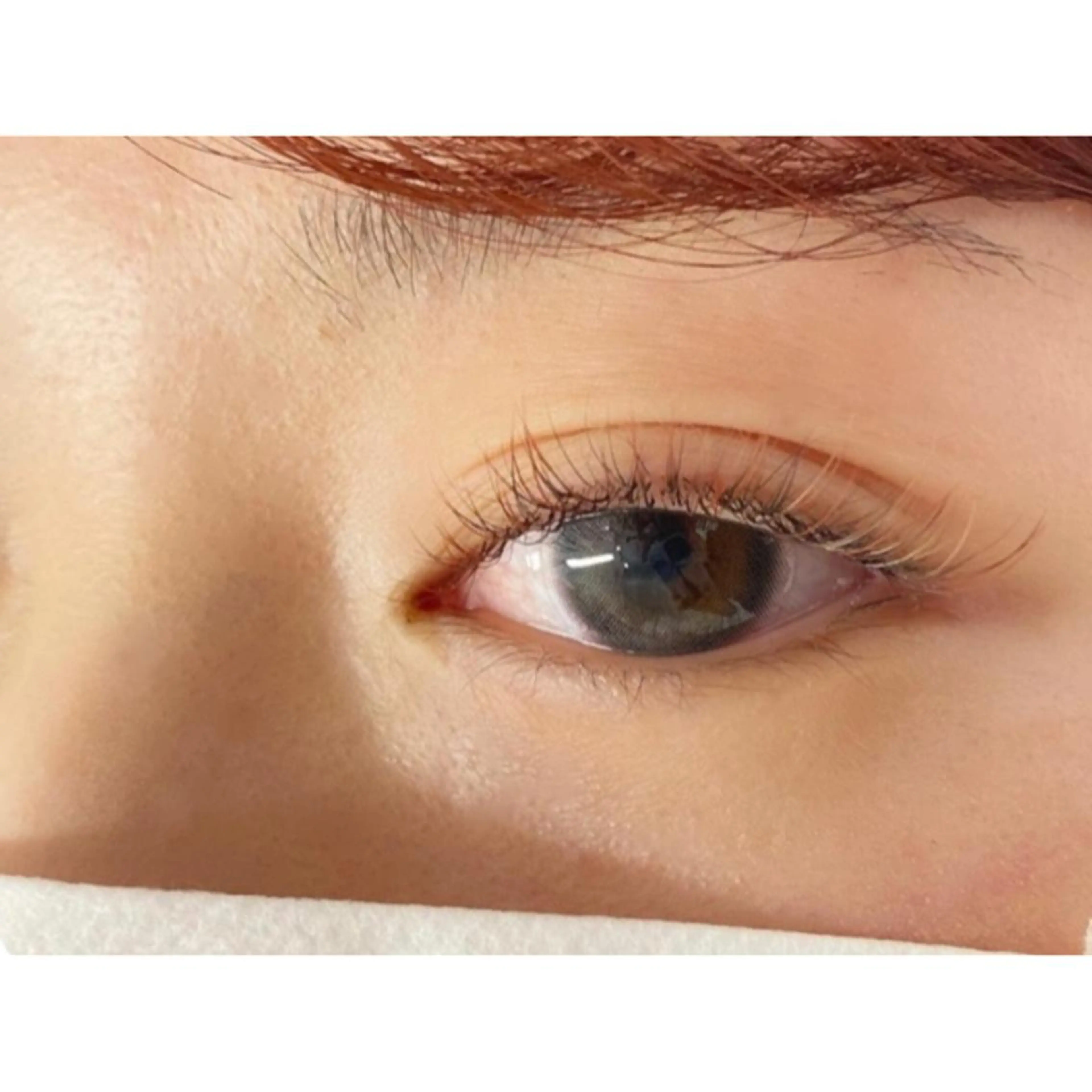 ãããšã¯ã»ããã æäººåŒ äžéÃãŸã€æ¯ããŒã SCREEN ä»å°ã®ãããšã¯ã»ããããã¶ã€ã³