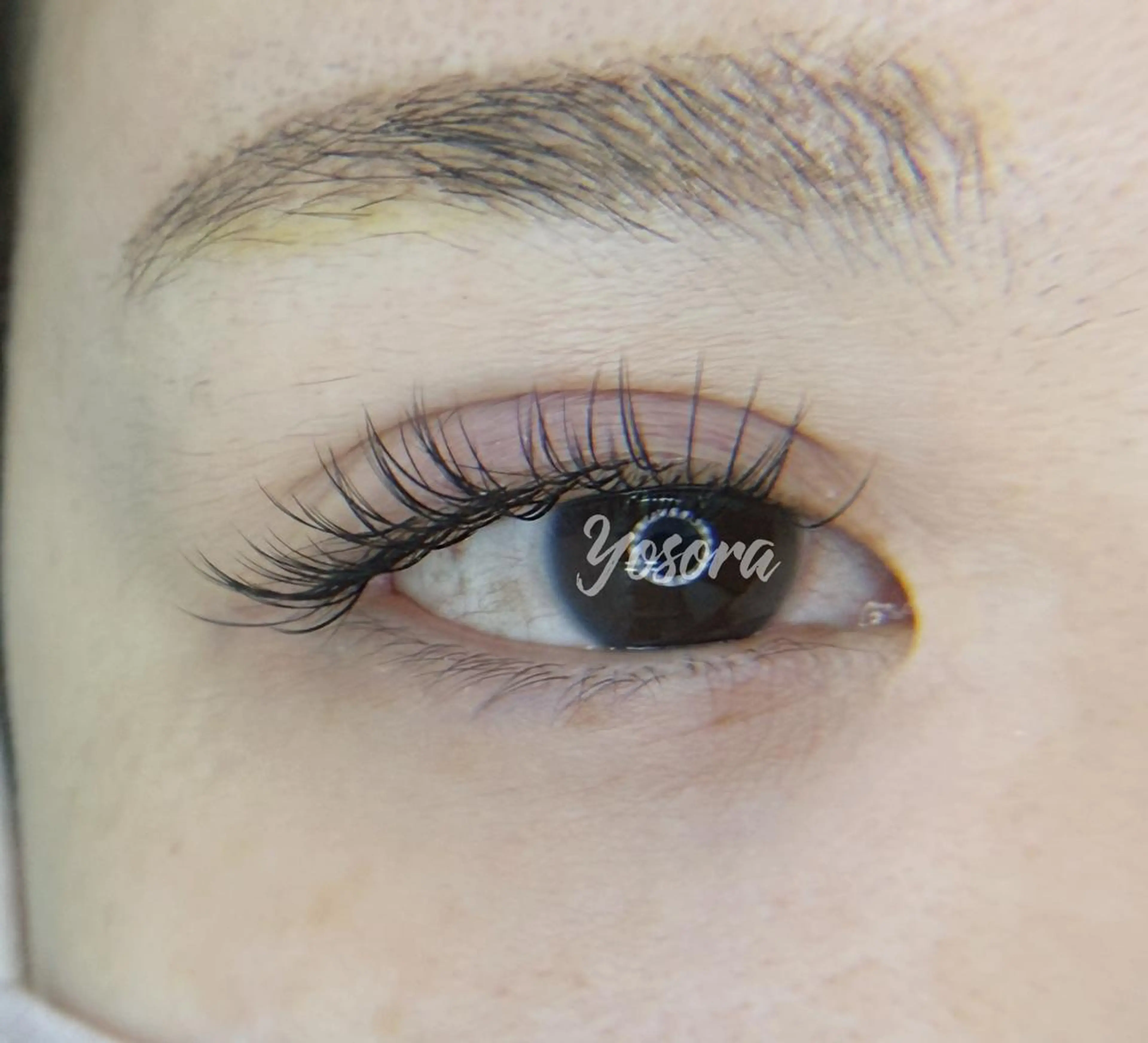 マツエク・マツパ フラットラッシュ マツエク Yosora salonのマツエク・マツパデザイン