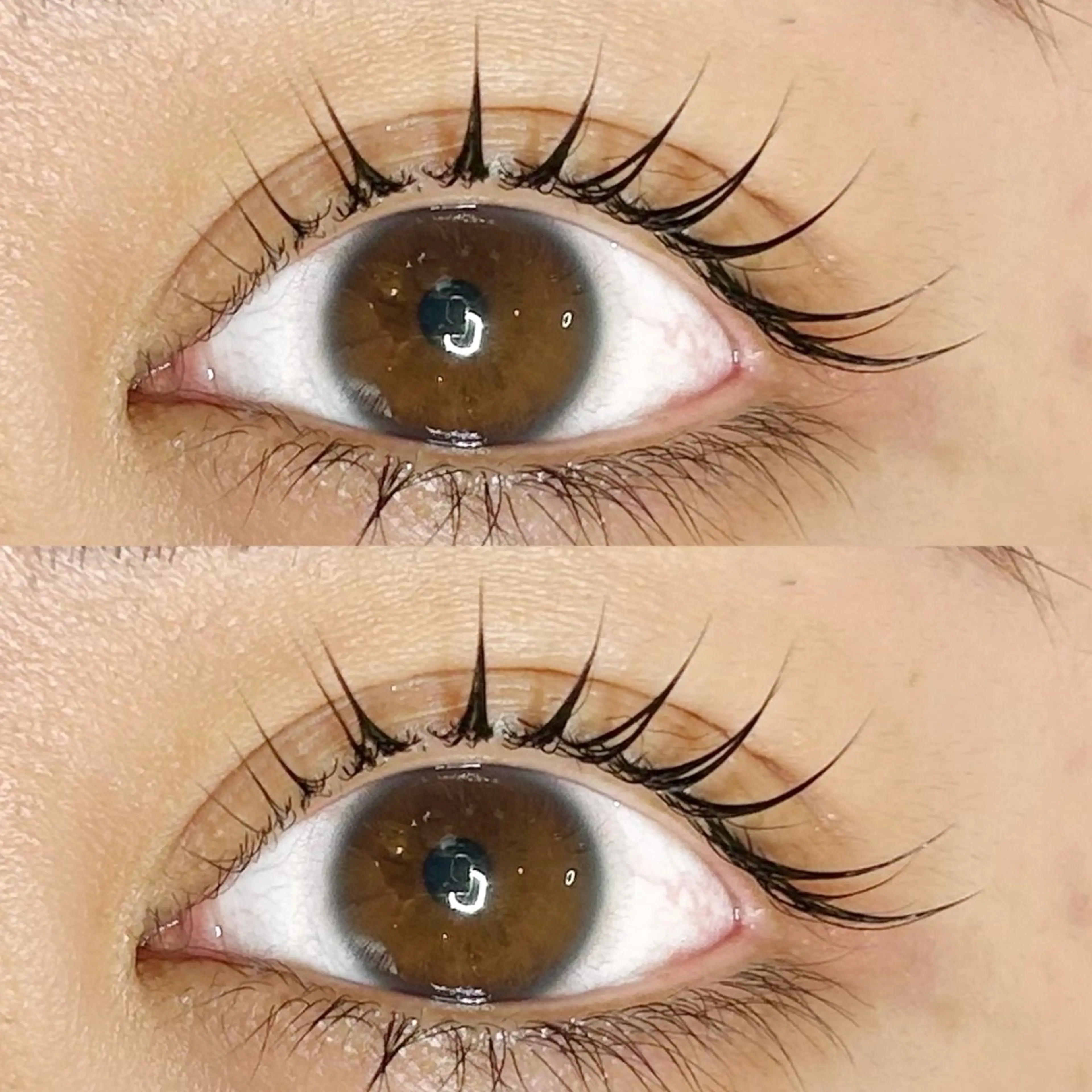 マツエク・マツパ Roy's lash所属・Roy's lash ♡　AYAのマツエク・マツパデザイン