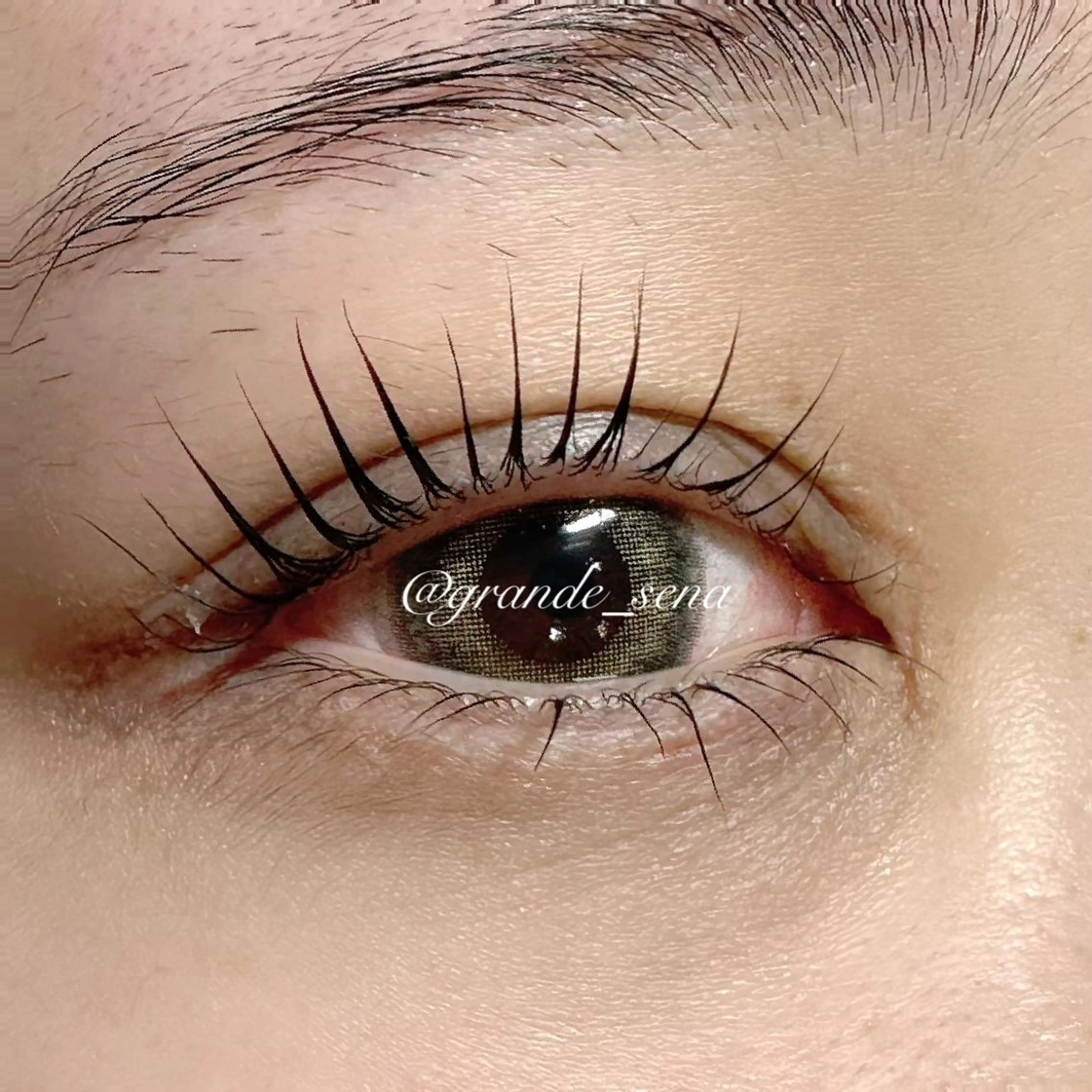 ♡パリジェンヌラッシュリフト 上下セット♡の写真