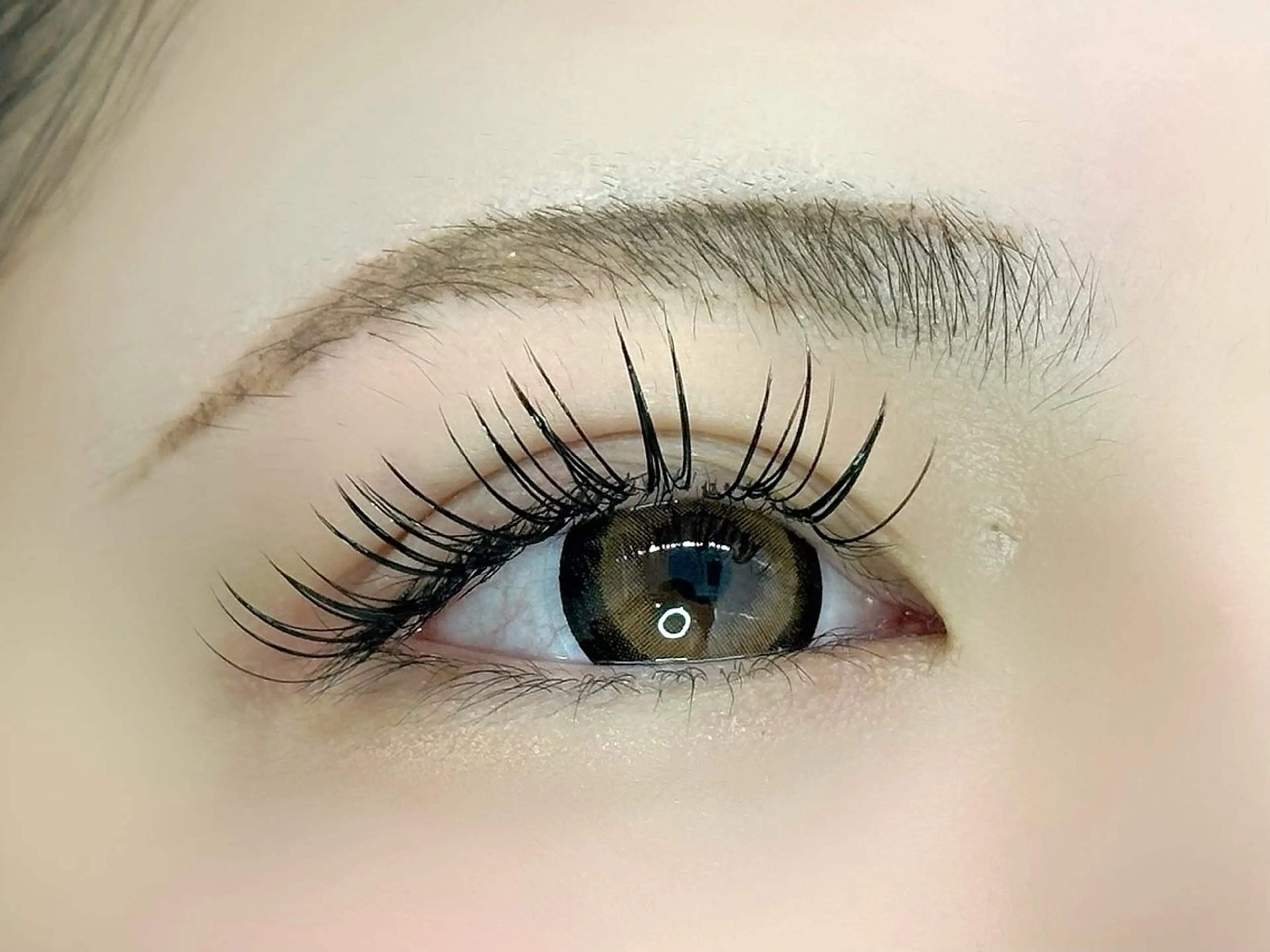 マツエク・マツパ マツエク ぷりゅねる心斎橋 /LED専門店のマツエク・マツパデザイン