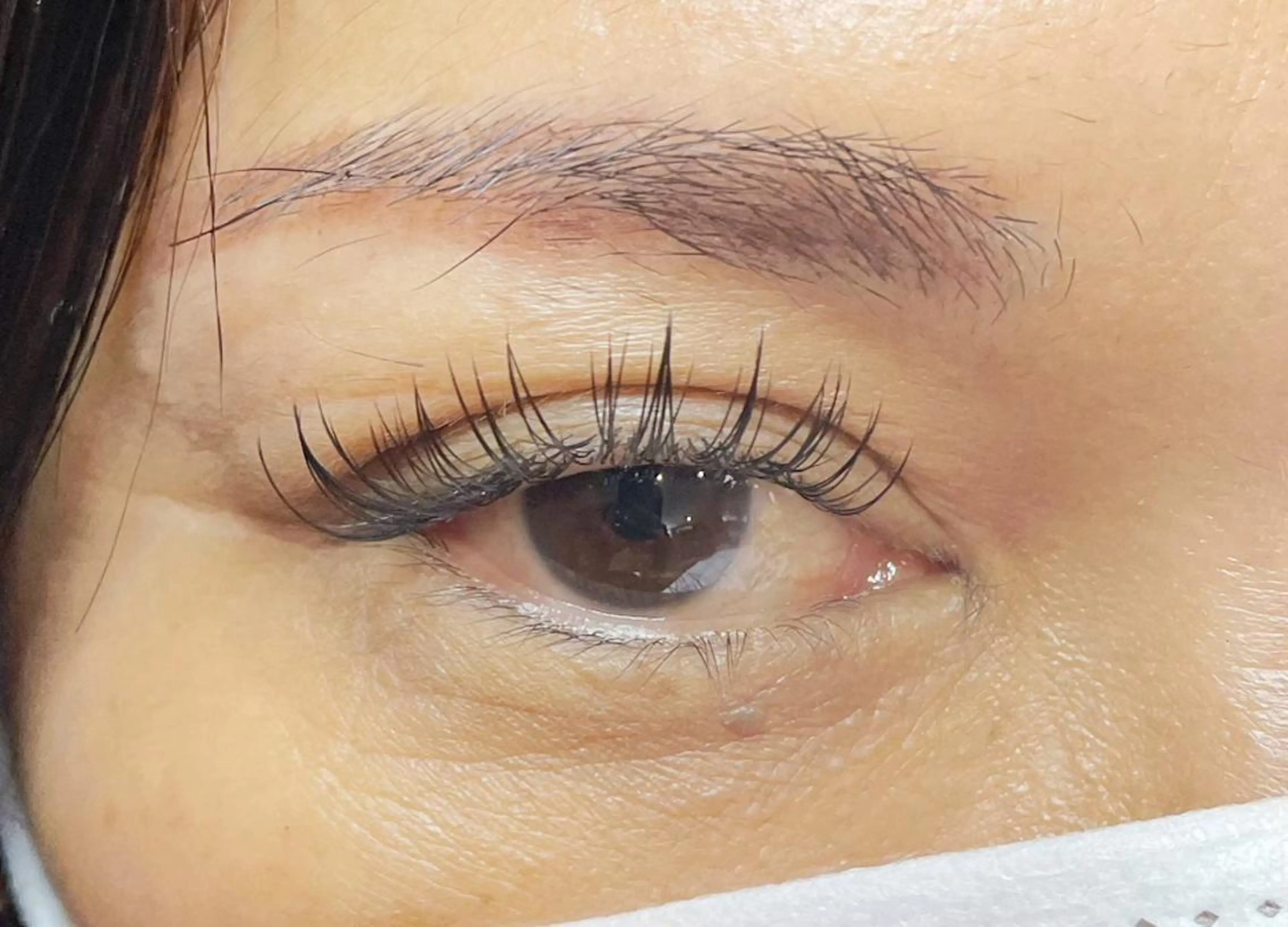 フラットラッシュ140本🌸の写真