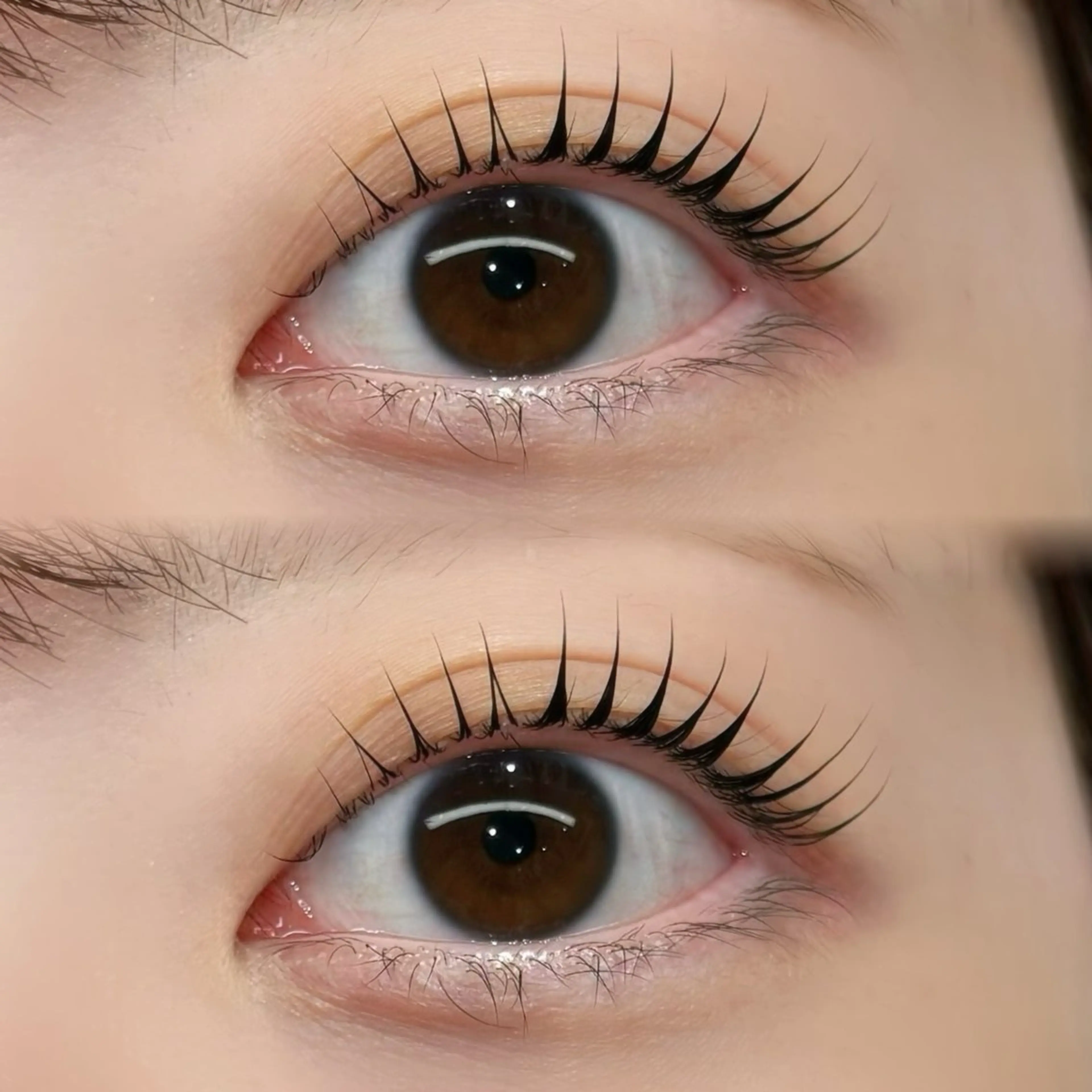 マツエク・マツパ 一重×まつ毛パーマ GALLARIA Eye　design所属・佐々木 奏のマツエク・マツパデザイン