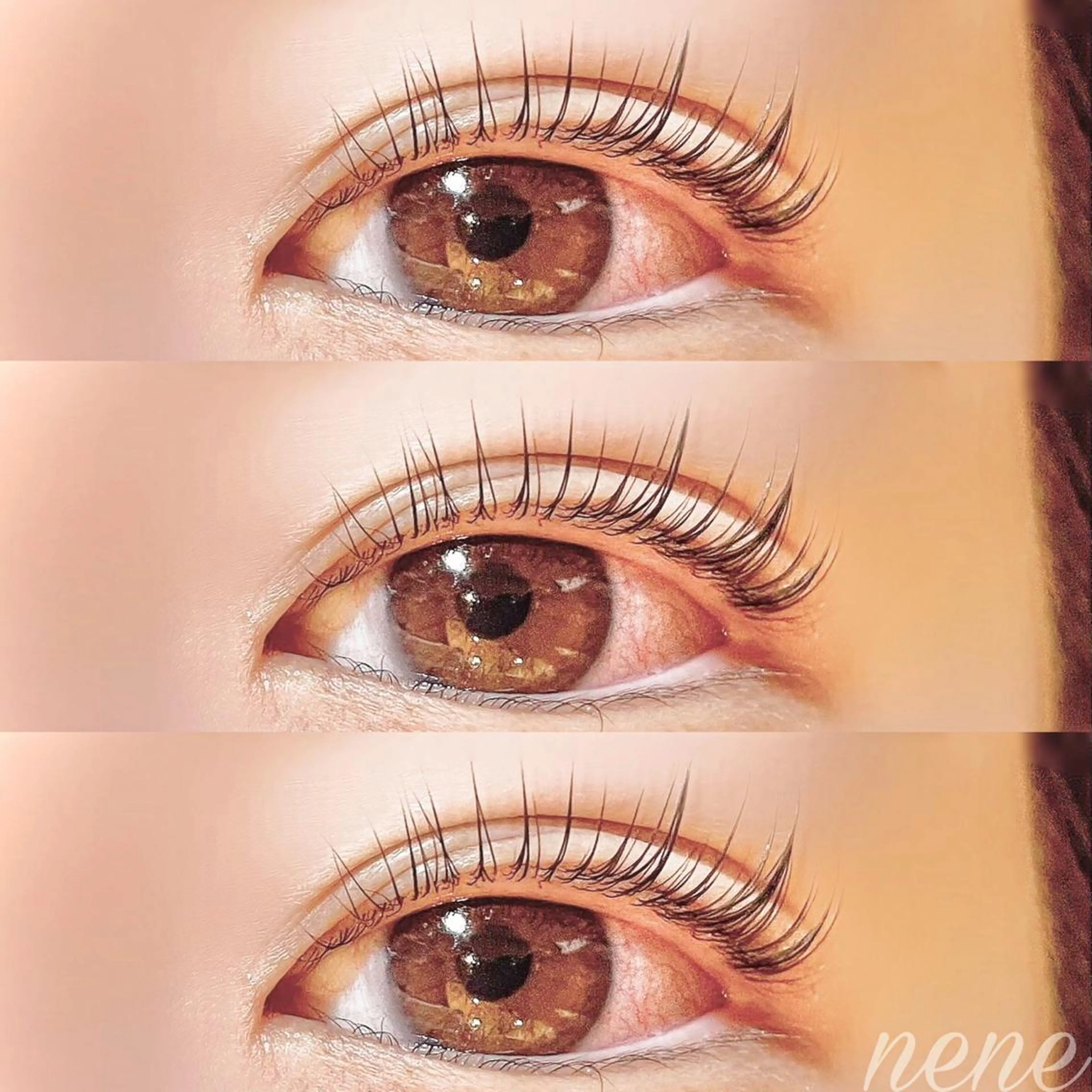 𝐩𝐚𝐫𝐢𝐬𝐢𝐞𝐧𝐧𝐞 𝐥𝐚𝐬𝐡 𝐥𝐢𝐟𝐭_上_🌿の写真