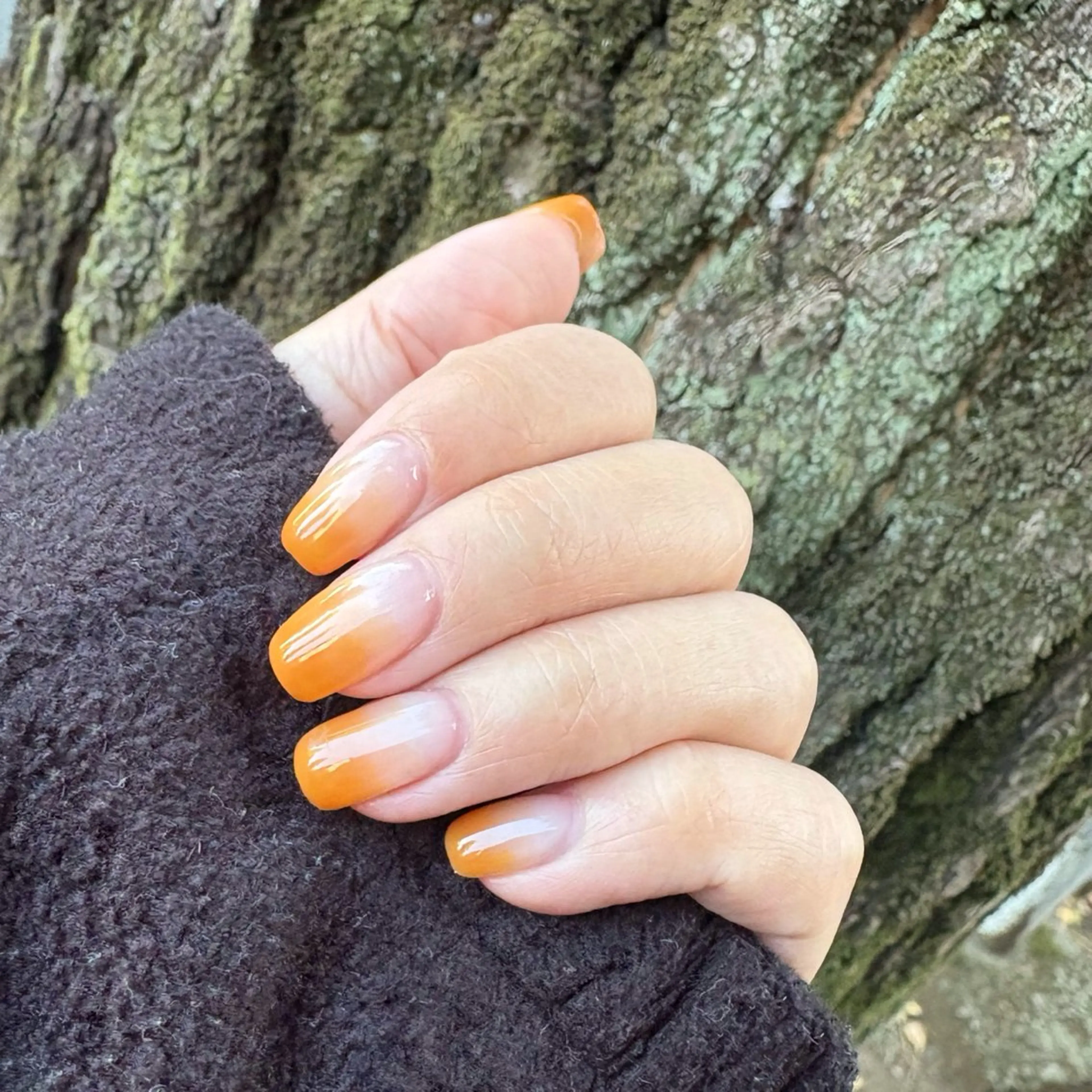 🧡ハンドネイル（オフ無し）グラデーションの写真