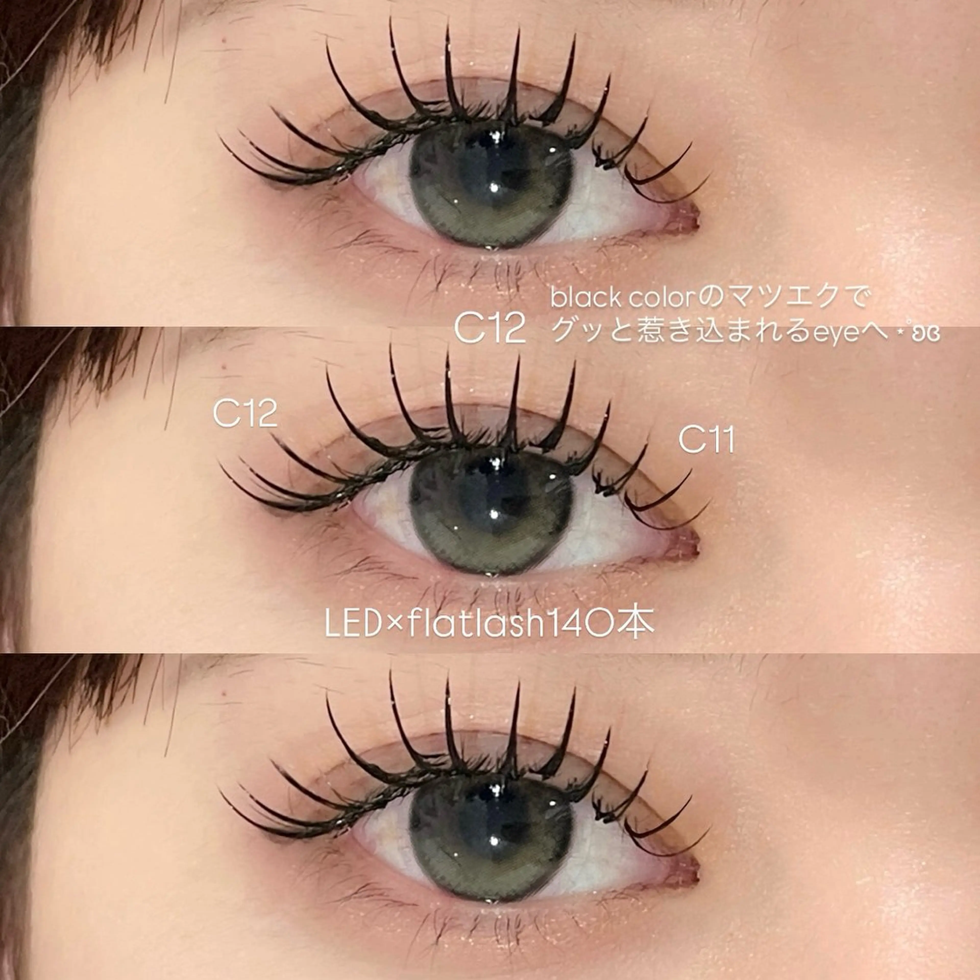 【新規】staff人気🌟ナチュラルバインド80束／オフ希望の方+¥500の写真