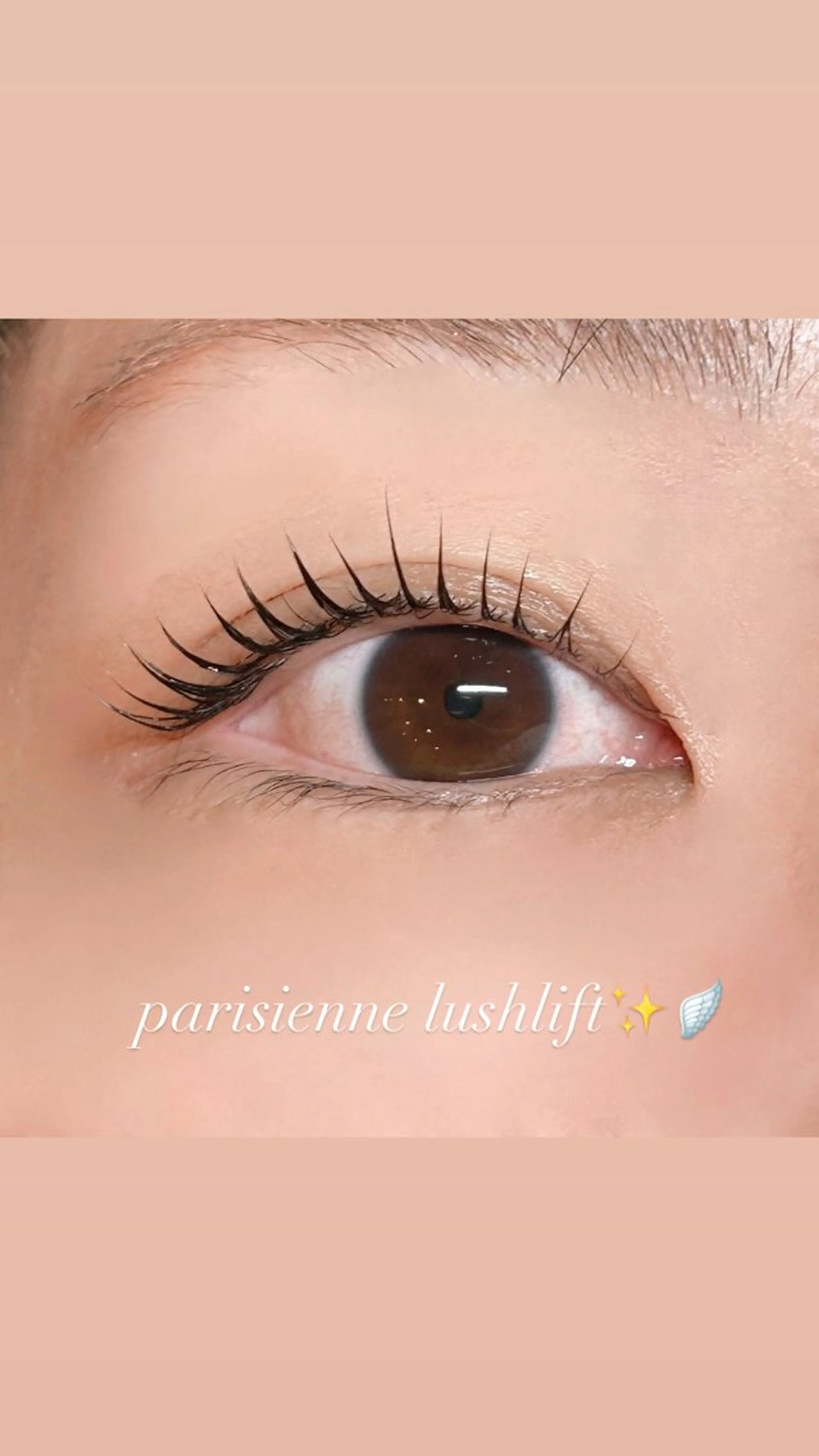 マツエク・マツパ rino✴︎/まつげ ＊まゆげ/韓国のマツエク・マツパデザイン