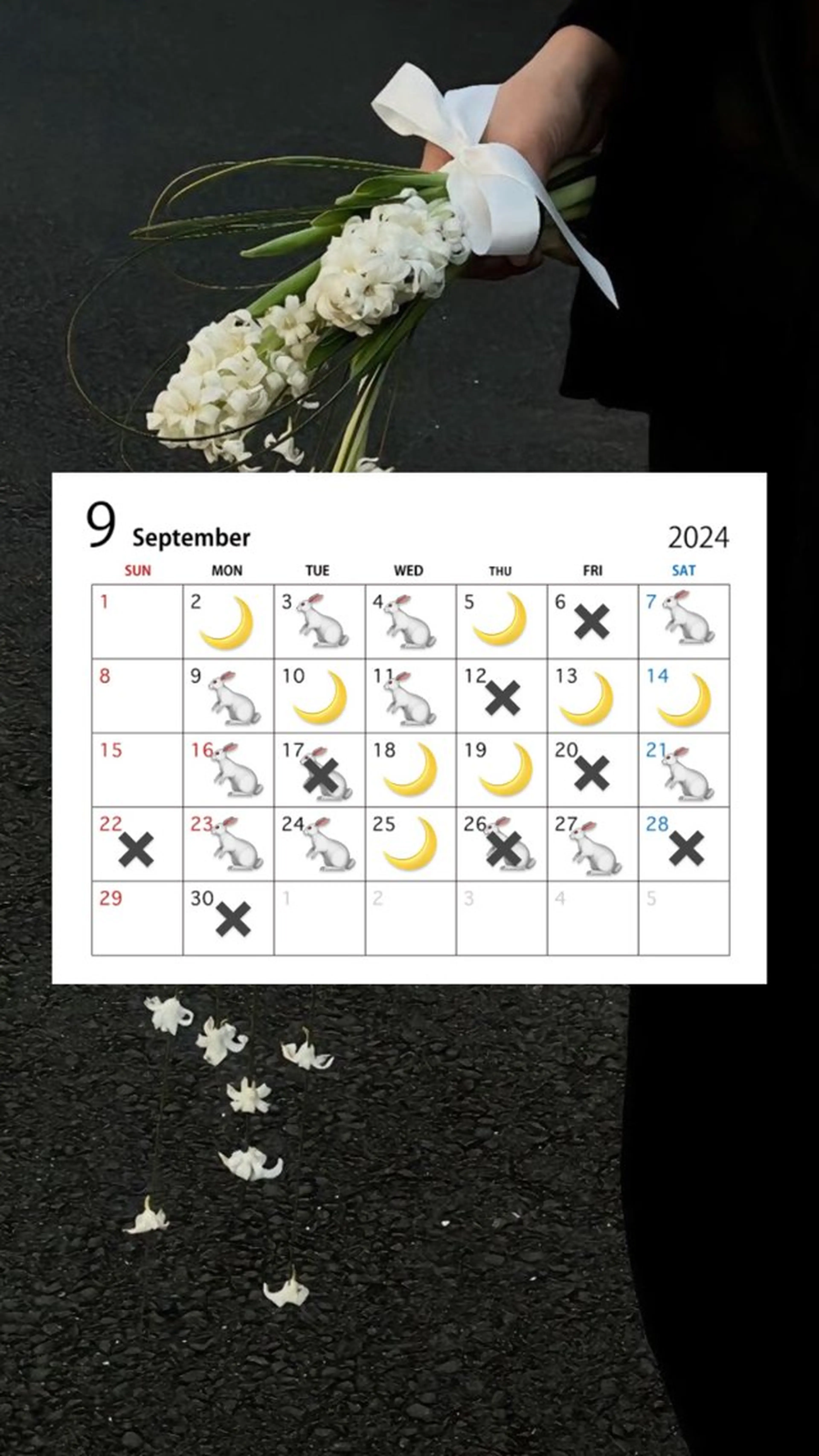 宮尾 愛海のヘアスタイル