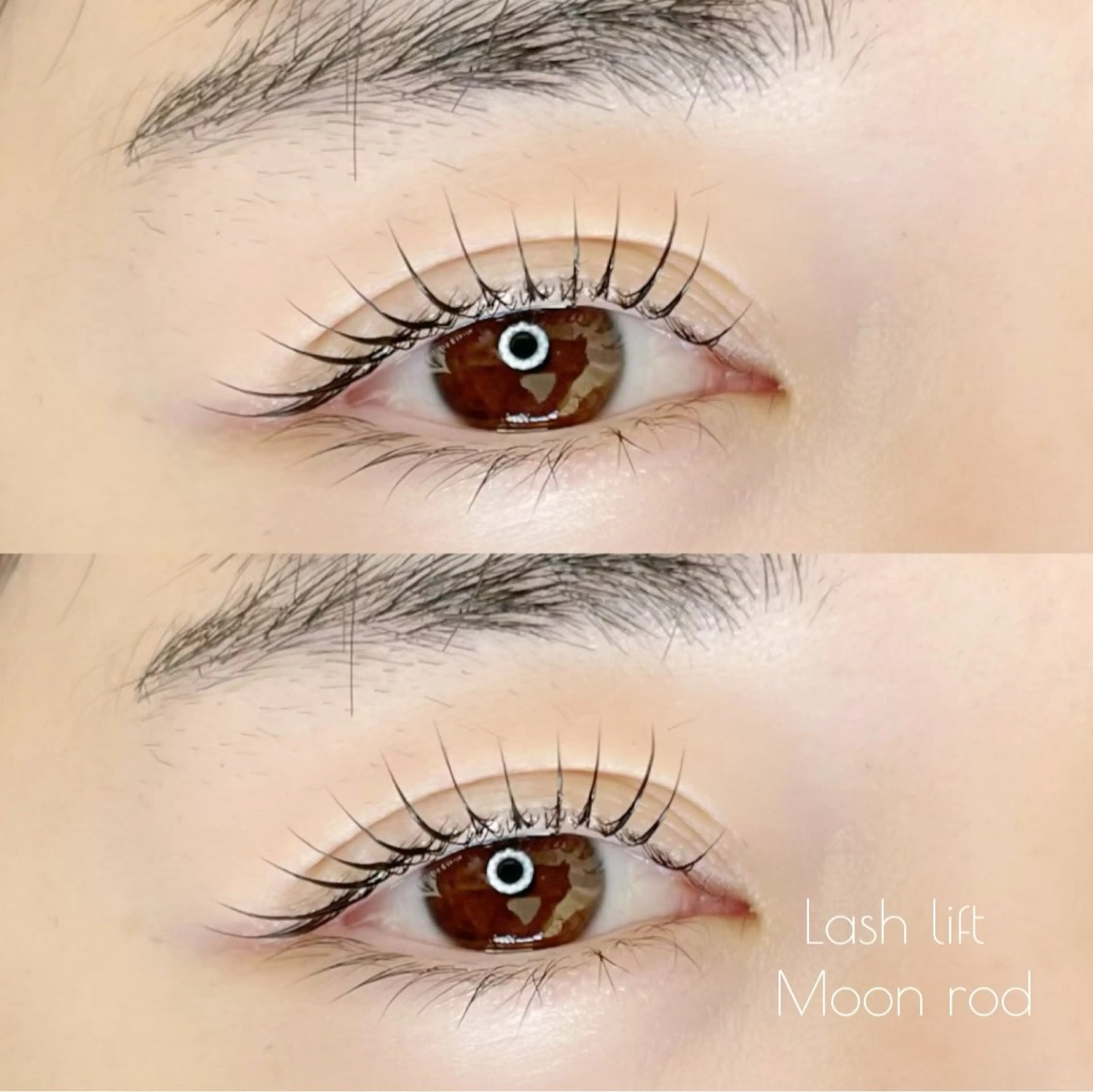 アイシャンプー付きラッシュリフト🫧12月限定価格🥨の写真