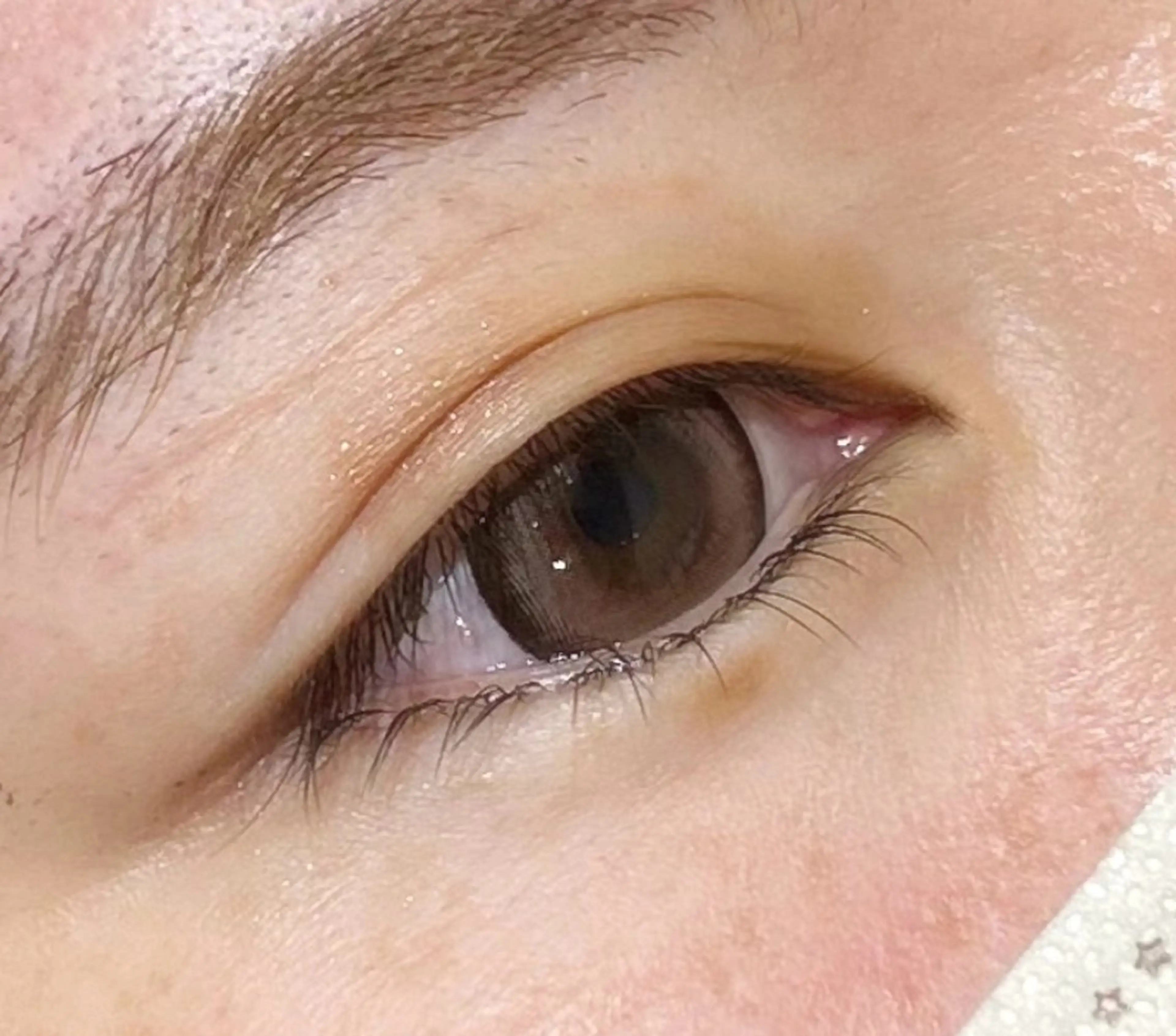 【12/14まで】下まつ毛エクステ40本まで　説明欄よくお読みの上ご予約くださいの写真