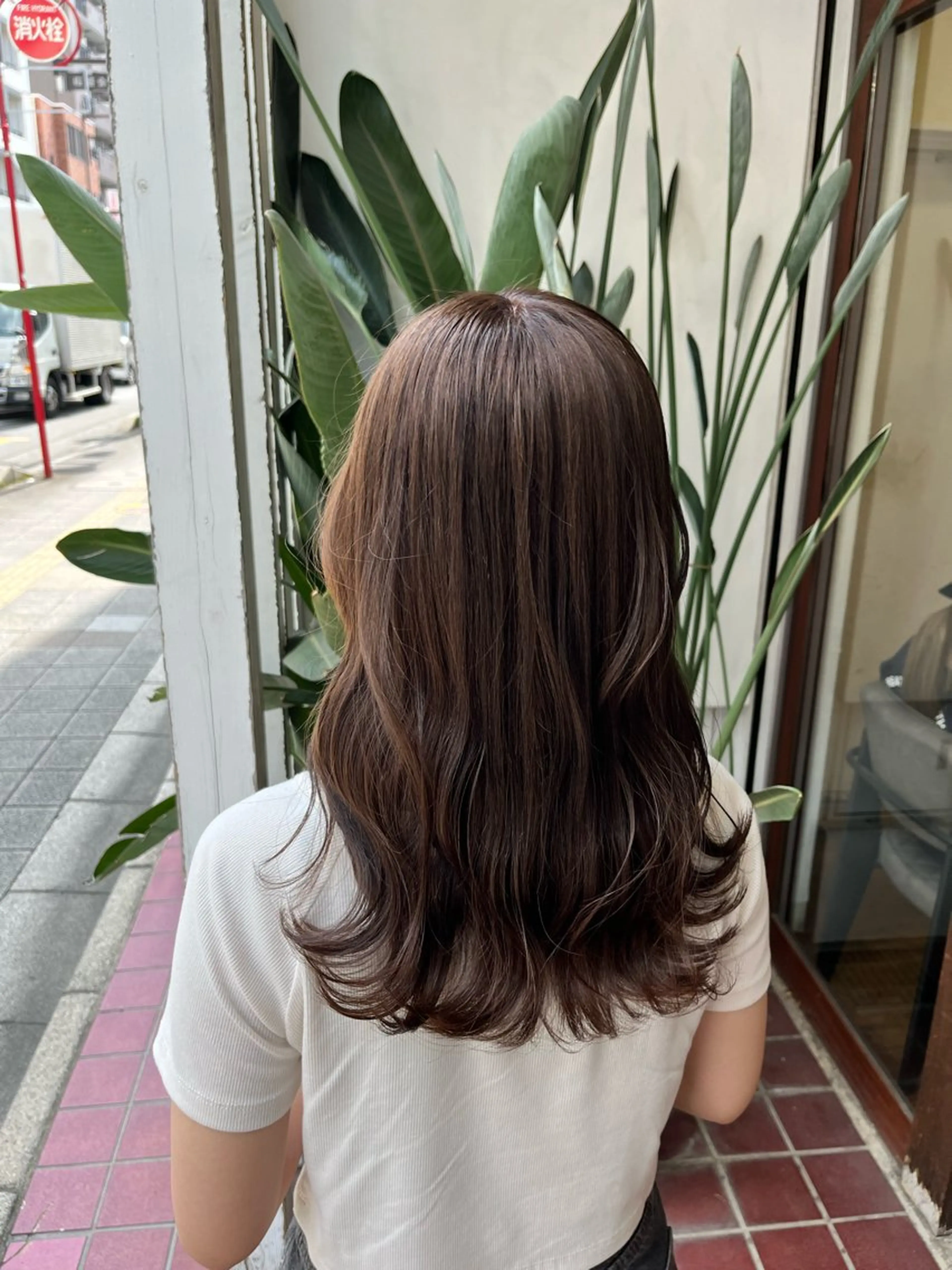 セミロング カラー インナーカラー カット ヘアカラー トリートメント 🫧艶髪デザイナー 🫧白石航汰のヘアスタイル