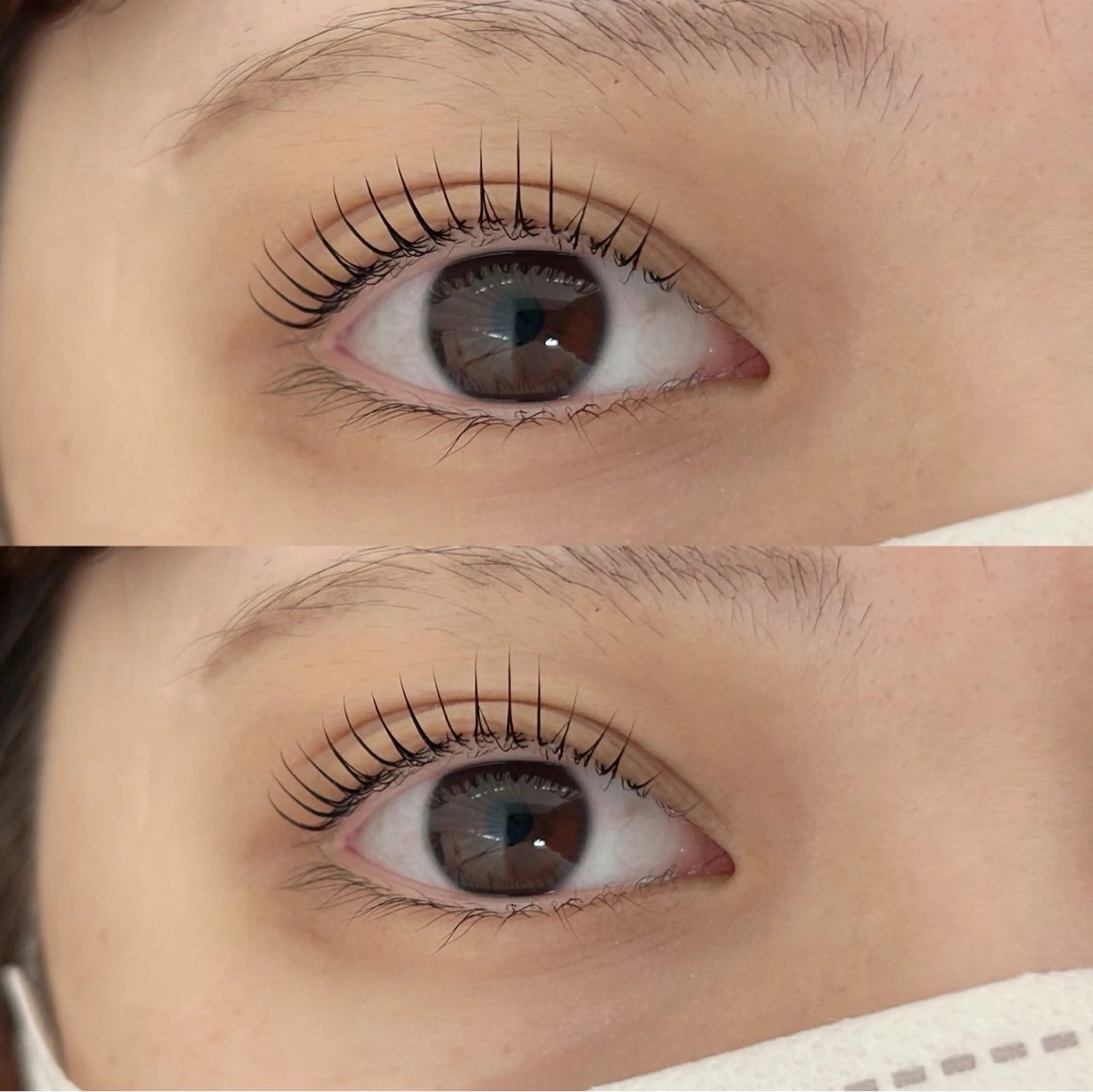 マツエク・マツパ ナチュラル まつげパーマ サクラブロウ京橋 増田のマツエク・マツパデザイン
