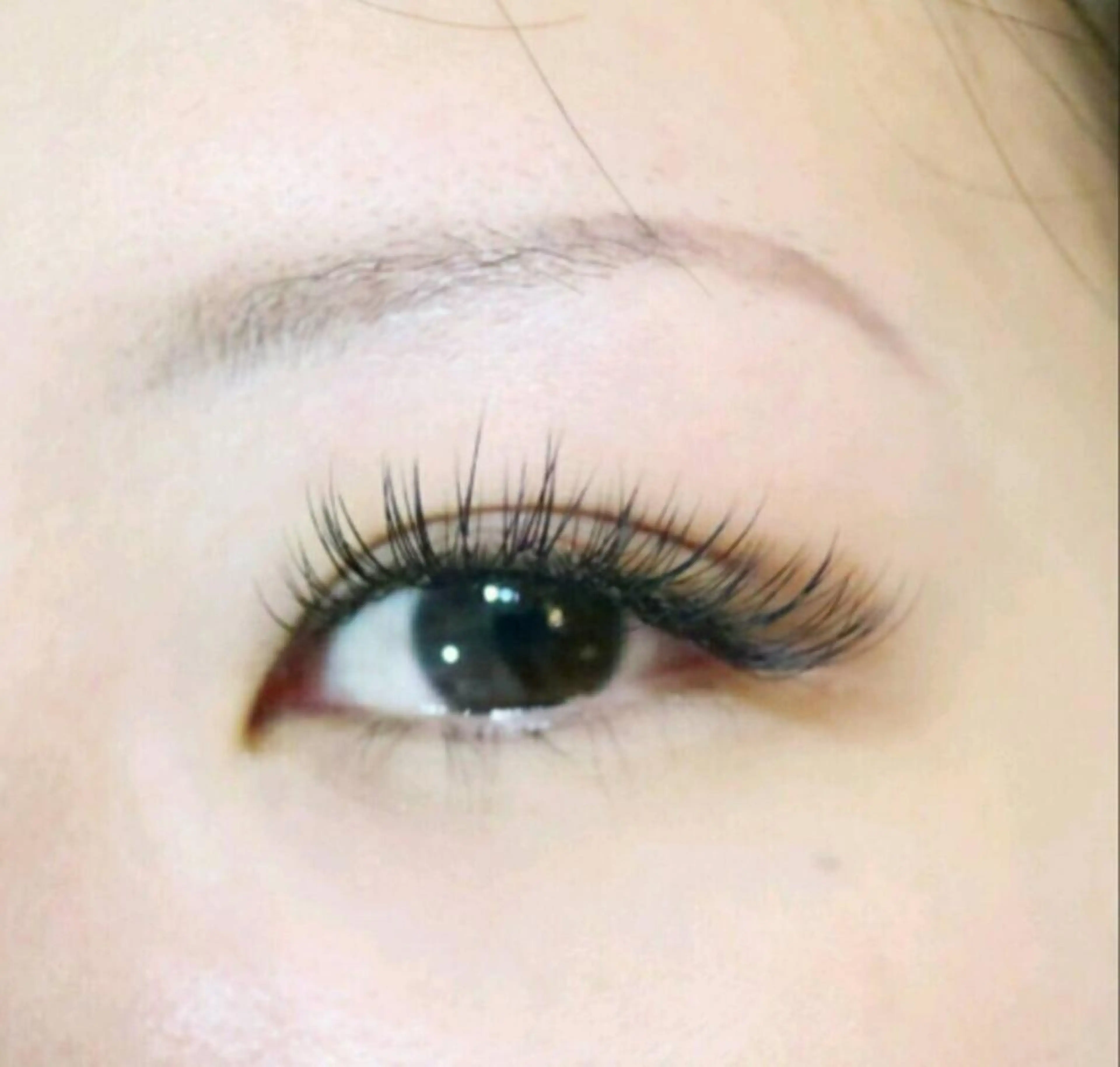 オフ無料✨フラットマットラッシュつけ放題【アイシャンプー＋コーティング仕上げ付き】の写真