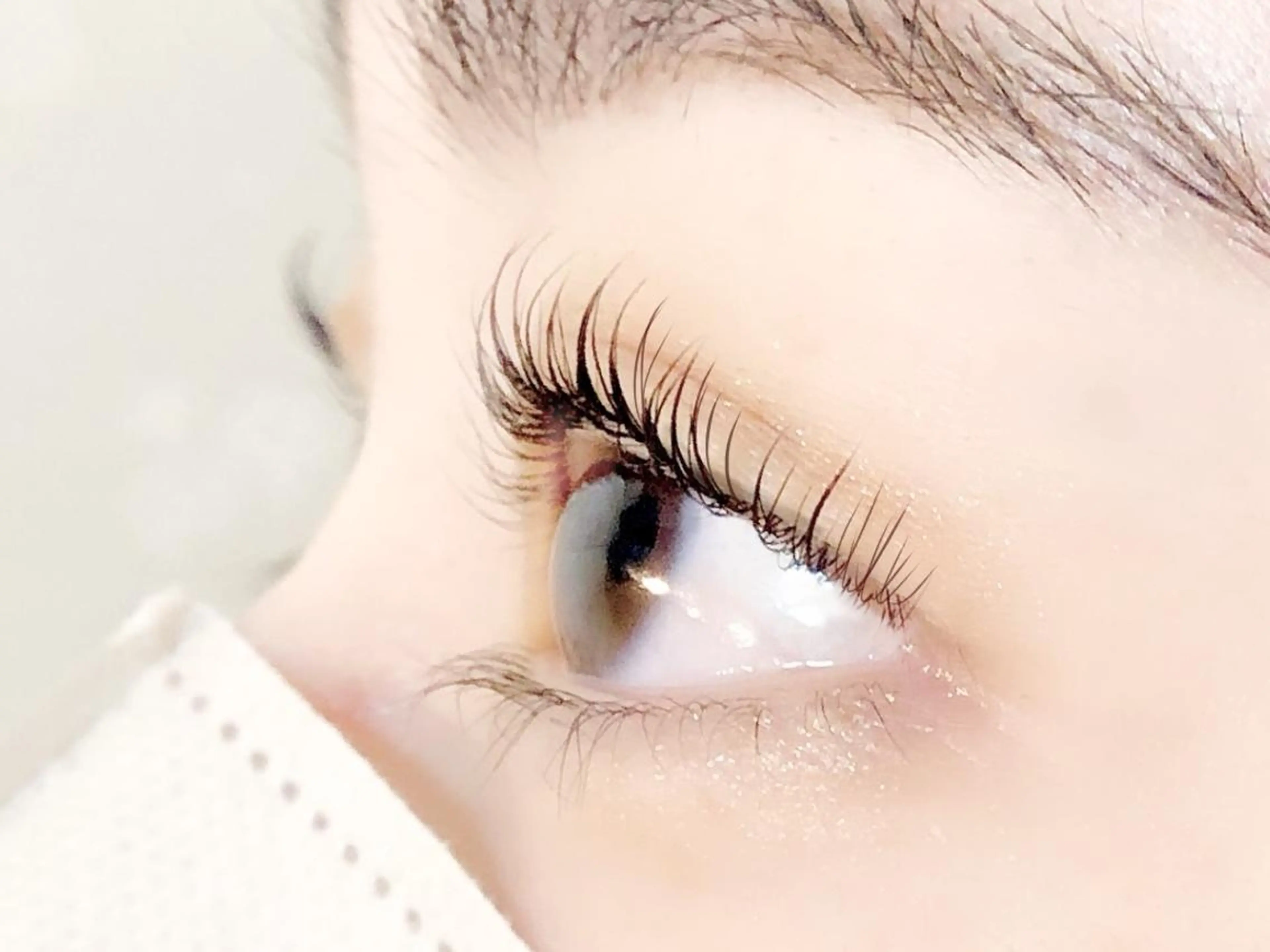 🤍パリジェンヌラッシュリフト/まつげパーマ等🤍の写真