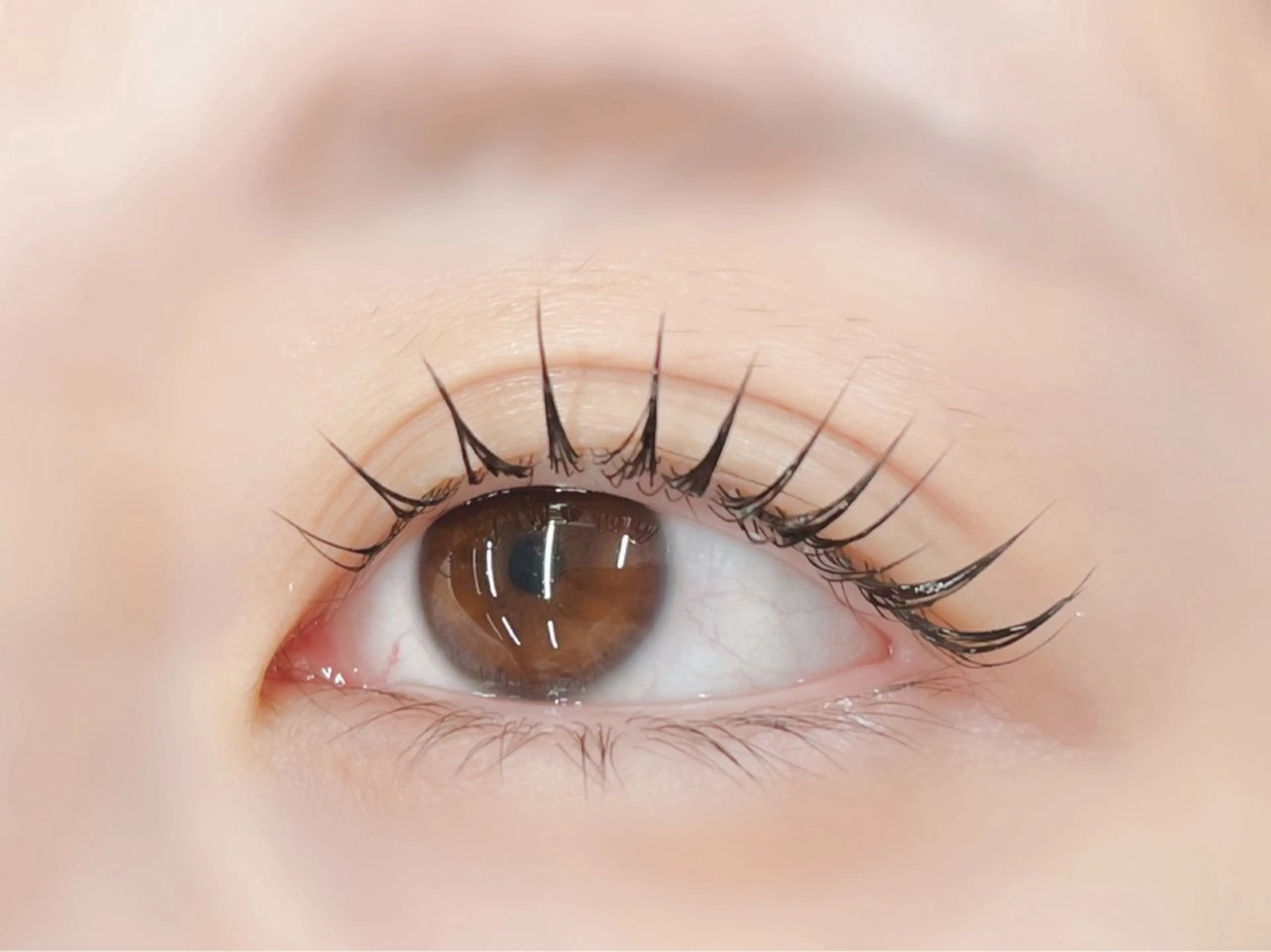 マツエク・マツパ パリジェンヌラッシュリフト マツパ 🪼ひとみ🪼半個室 Amour菊川店のマツエク・マツパデザイン