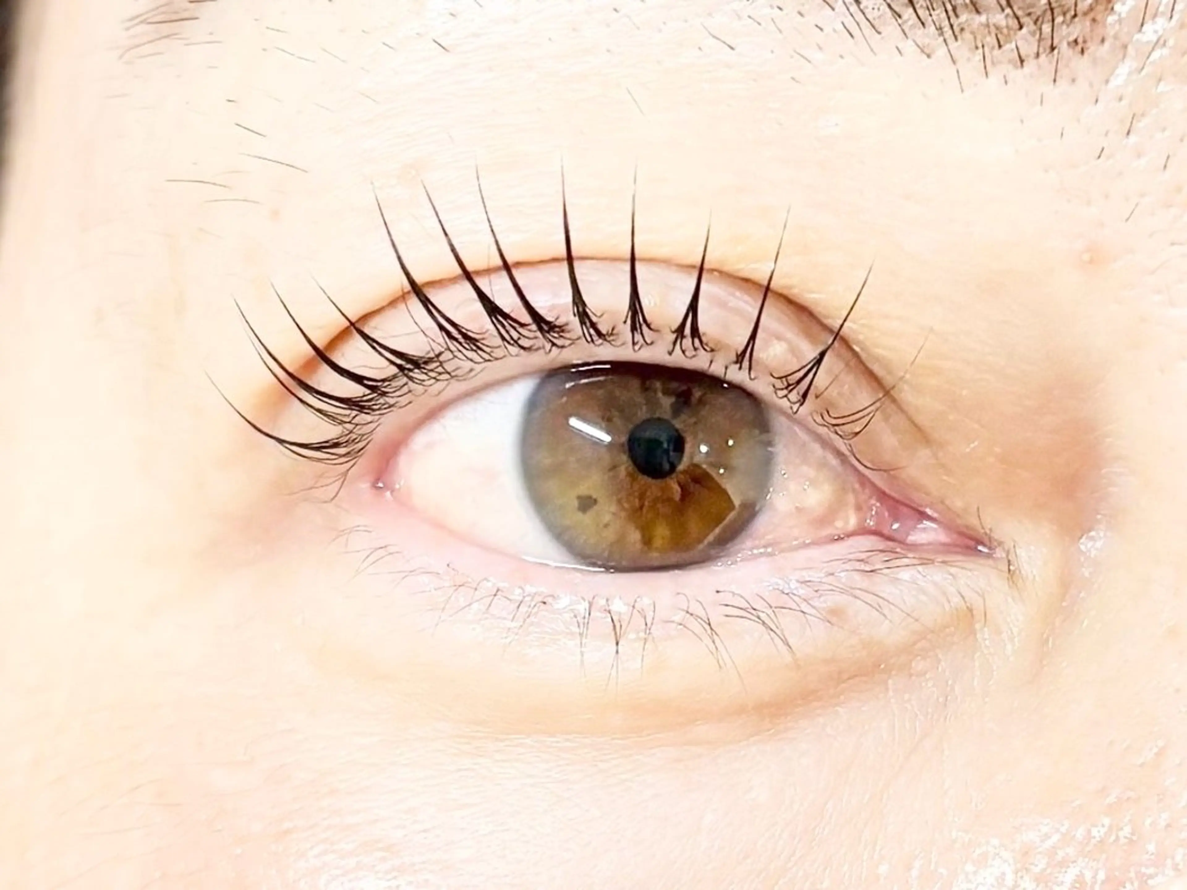 マツエク・マツパ パリジェンヌラッシュリフト マツパ アイラッシュサロン【エフドゥ】所属・中村彩香 (エフドゥ)のマツエク・マツパデザイン