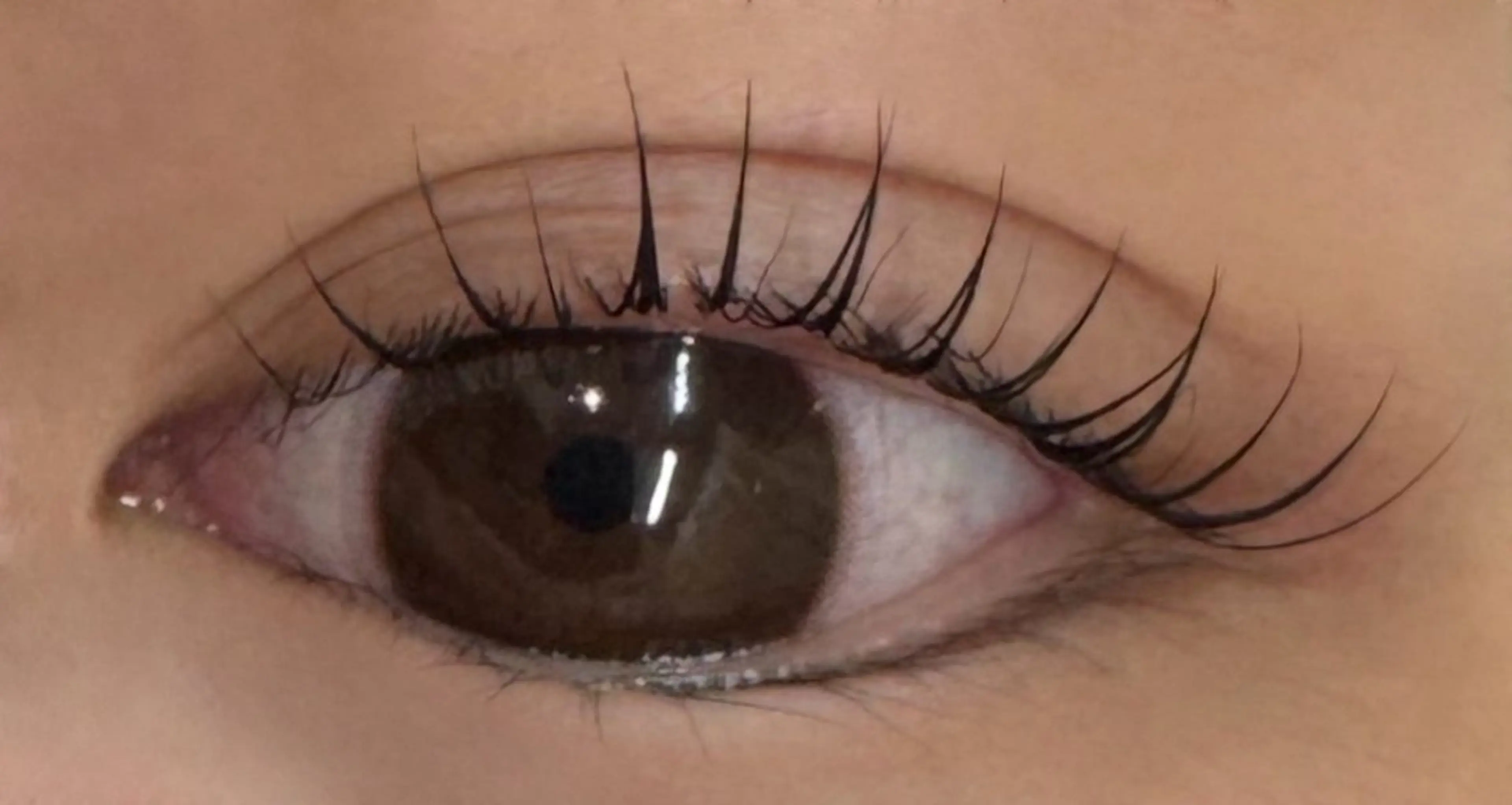 マツエク・マツパ Cカール 一重×まつ毛パーマ KANGOL BEAUTY SALON Eyelash アルカキット錦糸町店所属・板谷 弥生のマツエク・マツパデザイン