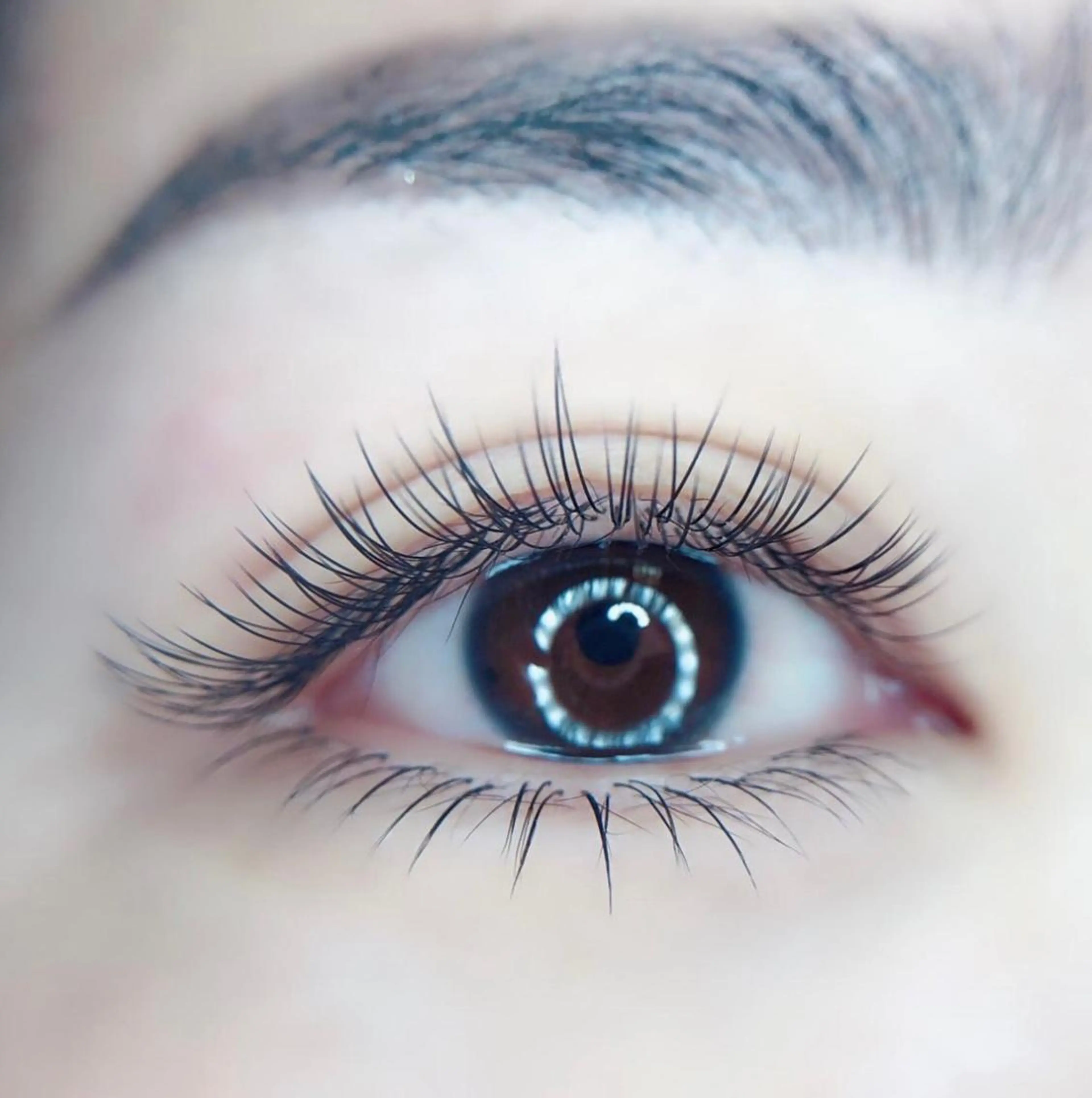 《まつげ》🌸2回まで同価格🌸フラットラッシュ(上)60本　3980円　3回目以降➕300円　時間30分の写真