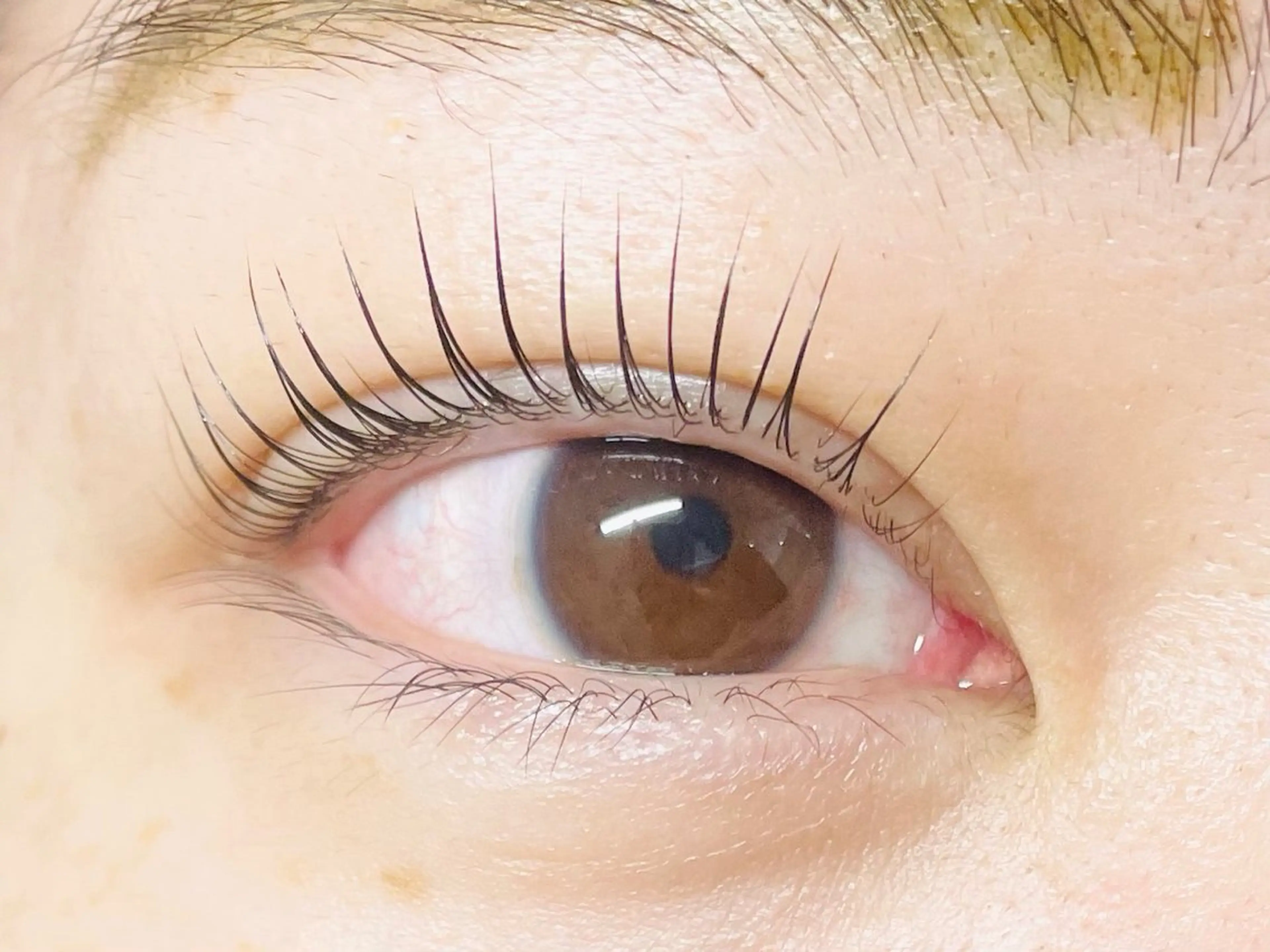 マツエク・マツパ パリジェンヌラッシュリフト マツパ 中村彩香 (エフドゥ)のマツエク・マツパデザイン