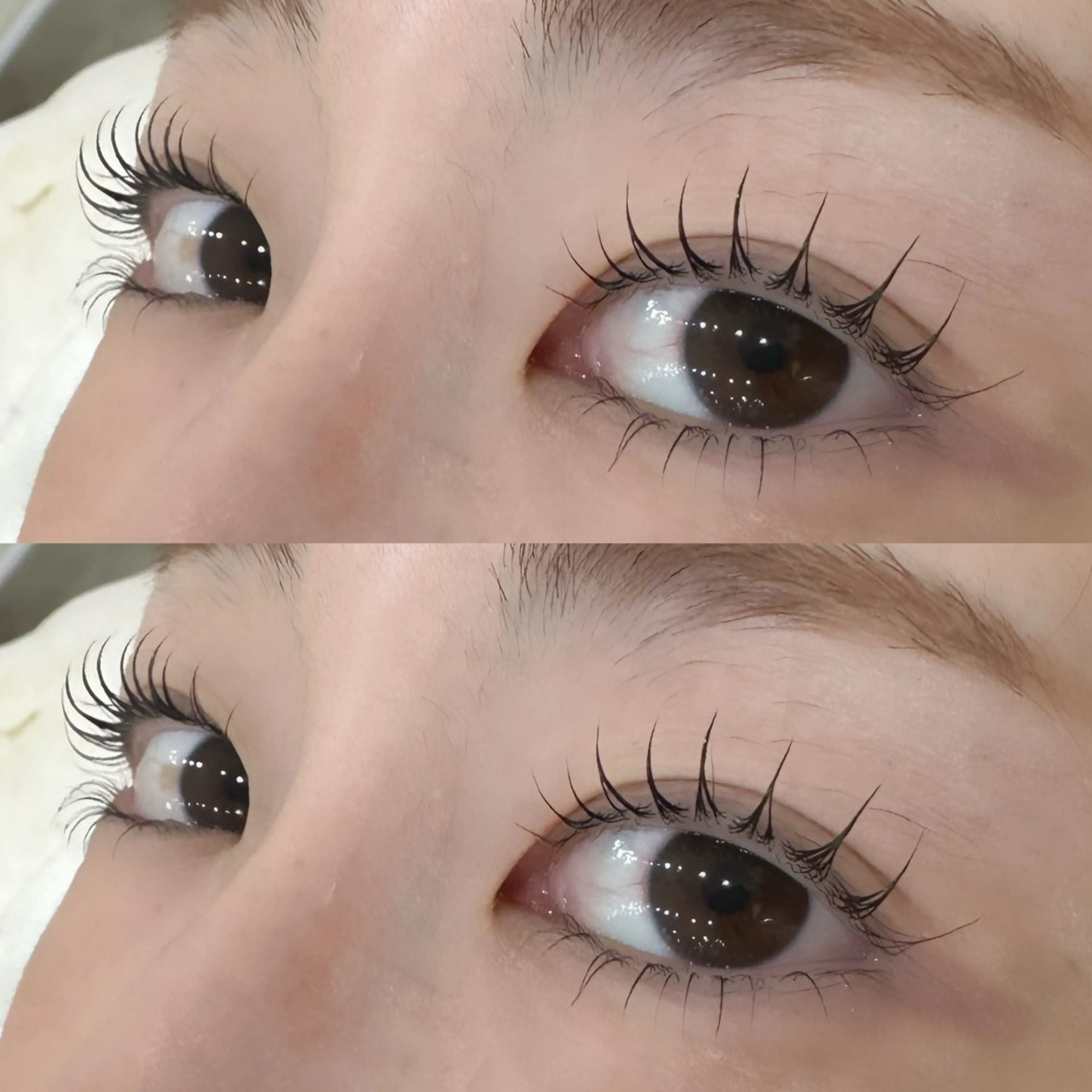 マツエク・マツパ マツパ マリーテレジア‎🩵 Maeokaのマツエク・マツパデザイン