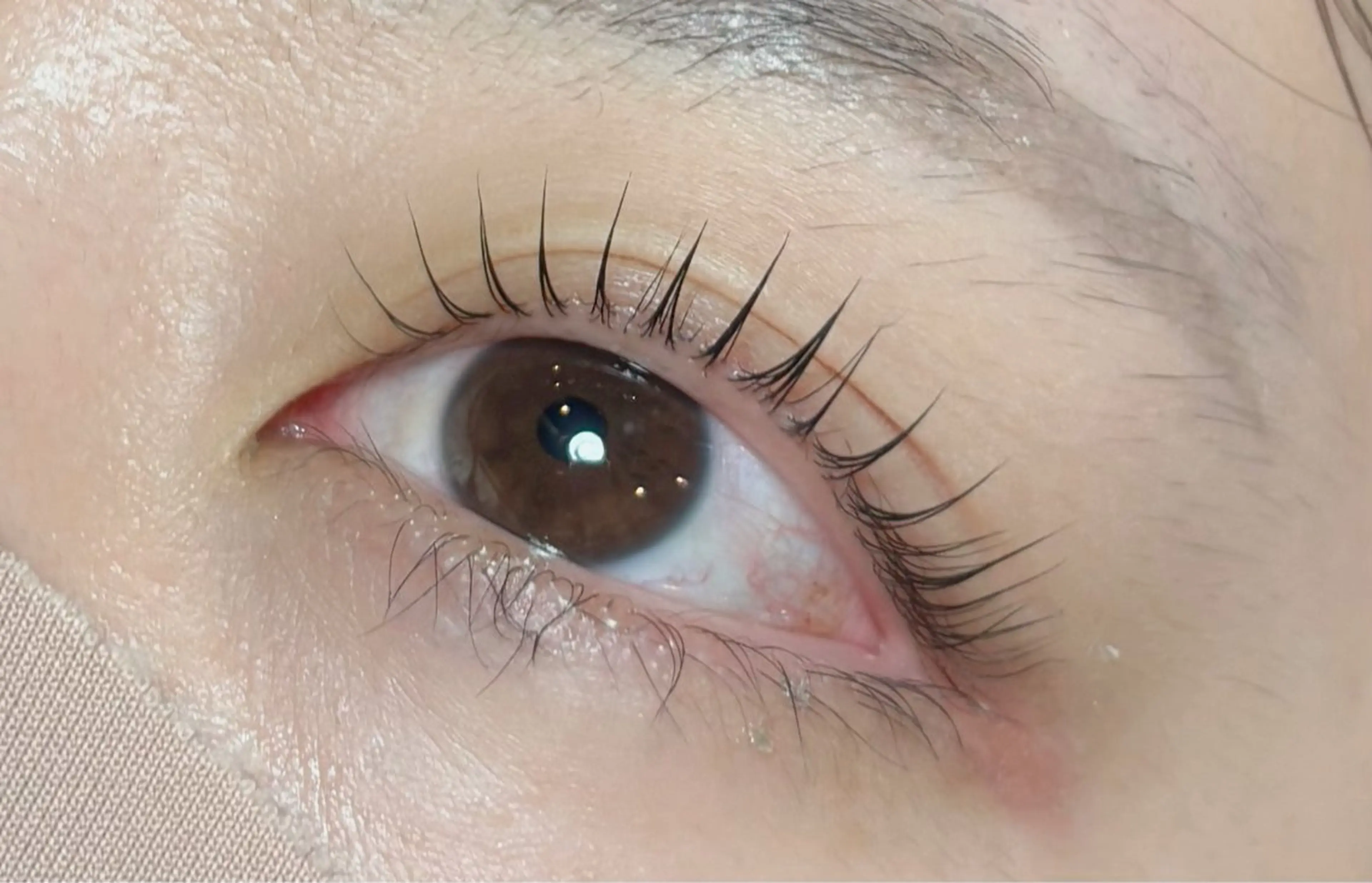 まつ毛パーマモデル様募集中✨✨(必ず来れる方)の写真