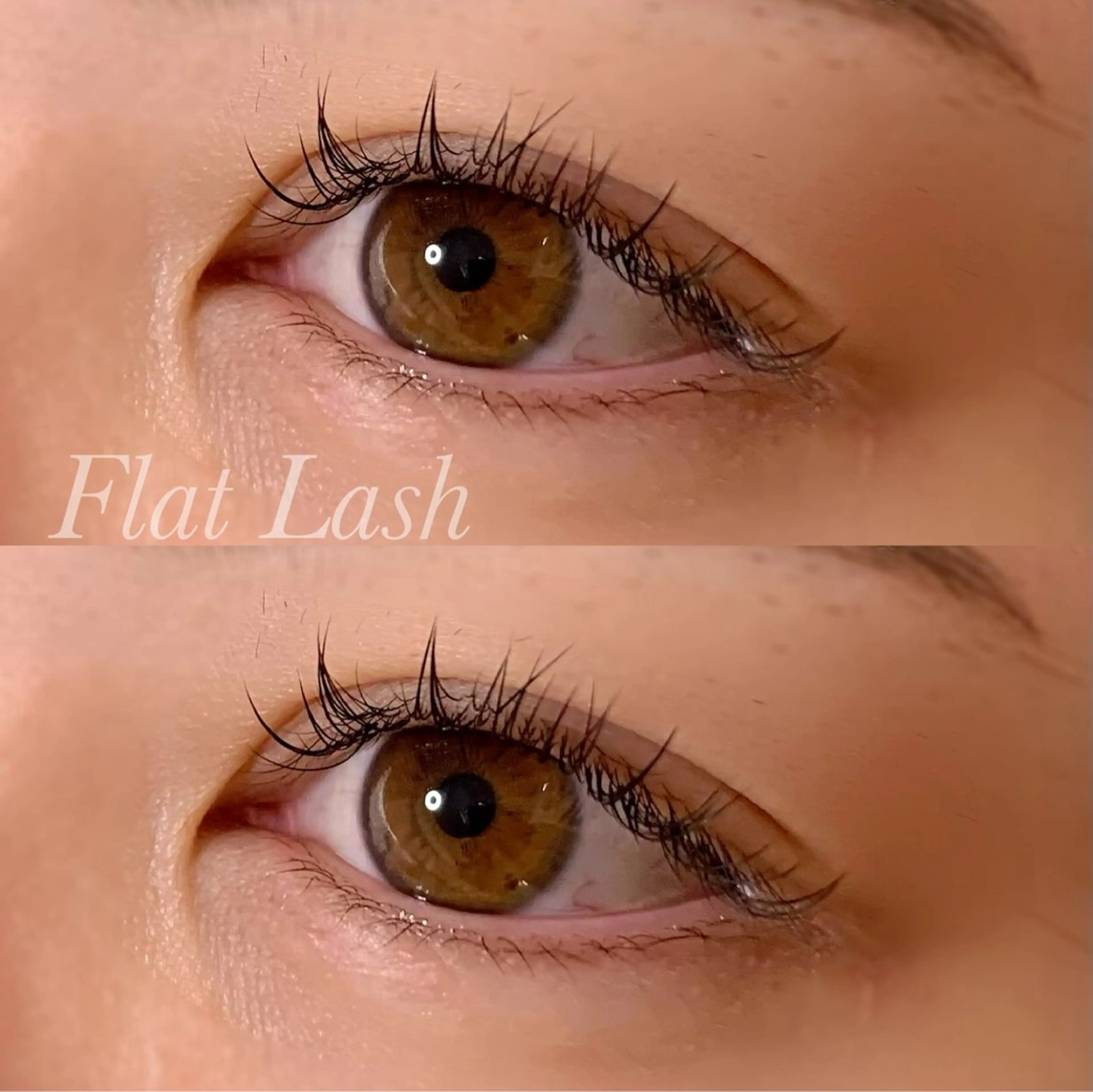 マツエク・マツパ Cカール フラットラッシュ Ayumi.pro 🍆N《4階》のマツエク・マツパデザイン