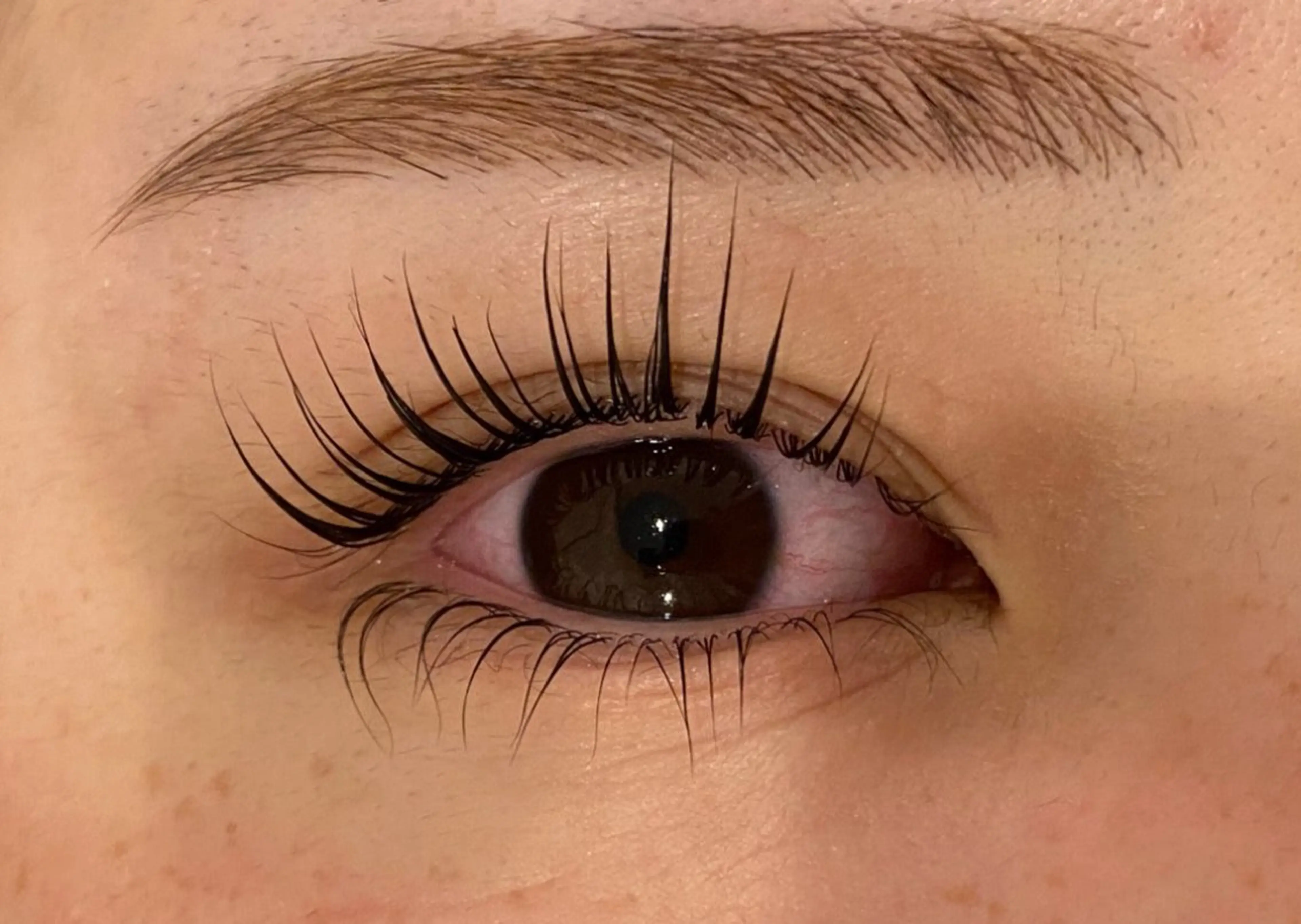 マツエク・マツパ Daisy lash 京橋店堀井のマツエク・マツパデザイン