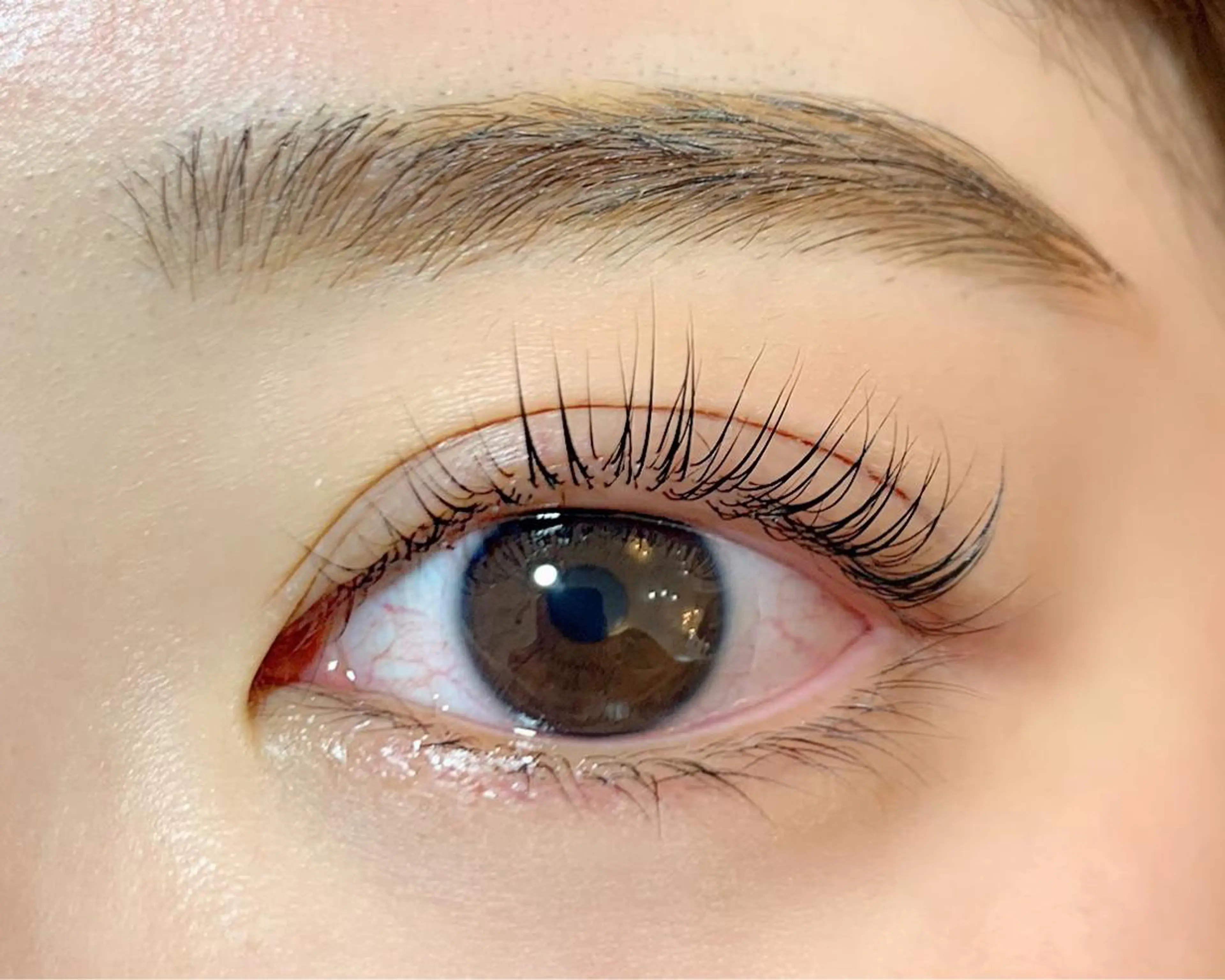 マツエク・マツパ パリジェンヌラッシュリフト étora新宿 まつげ/眉毛のマツエク・マツパデザイン