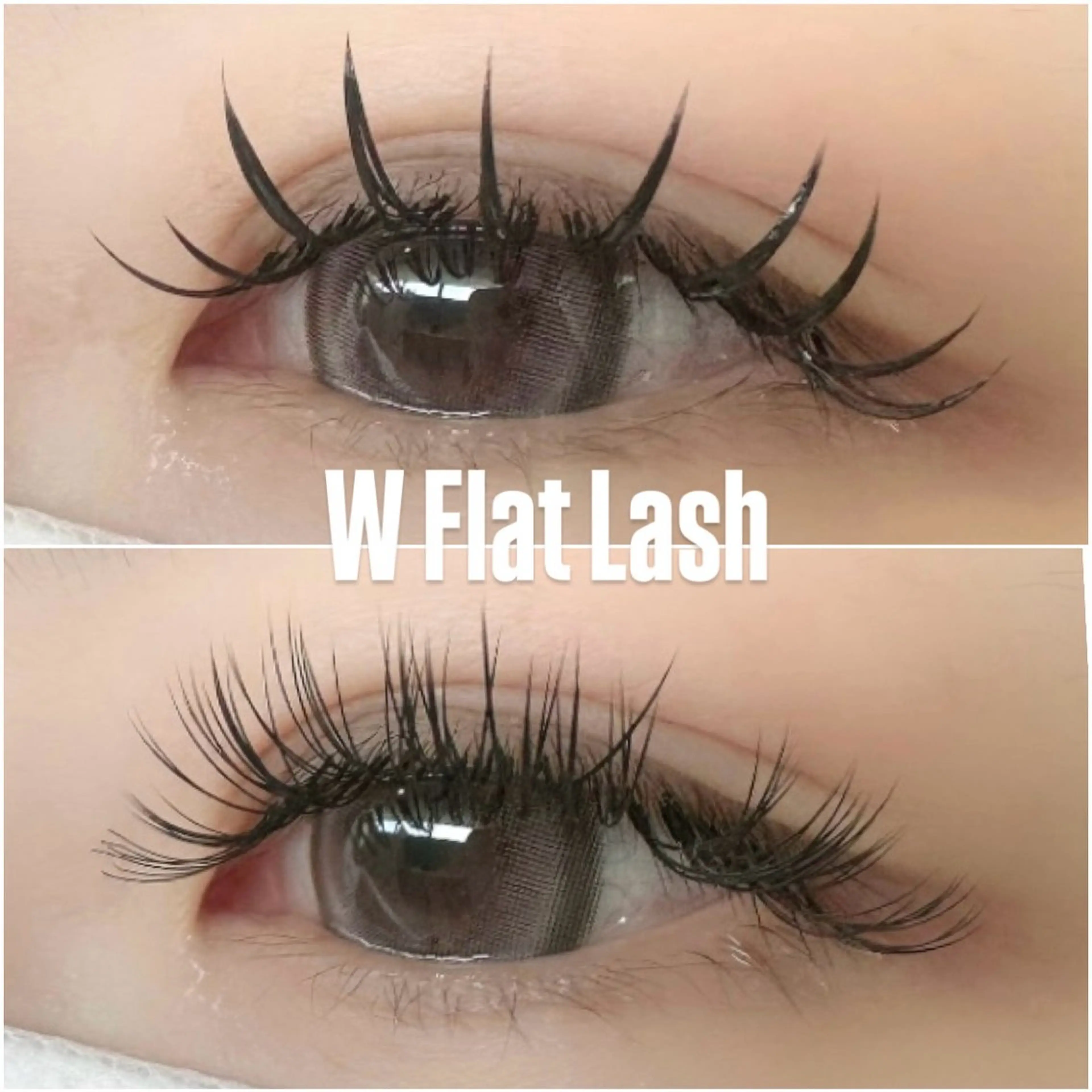 Wフラット80束 ¥8,250→¥6,500の写真