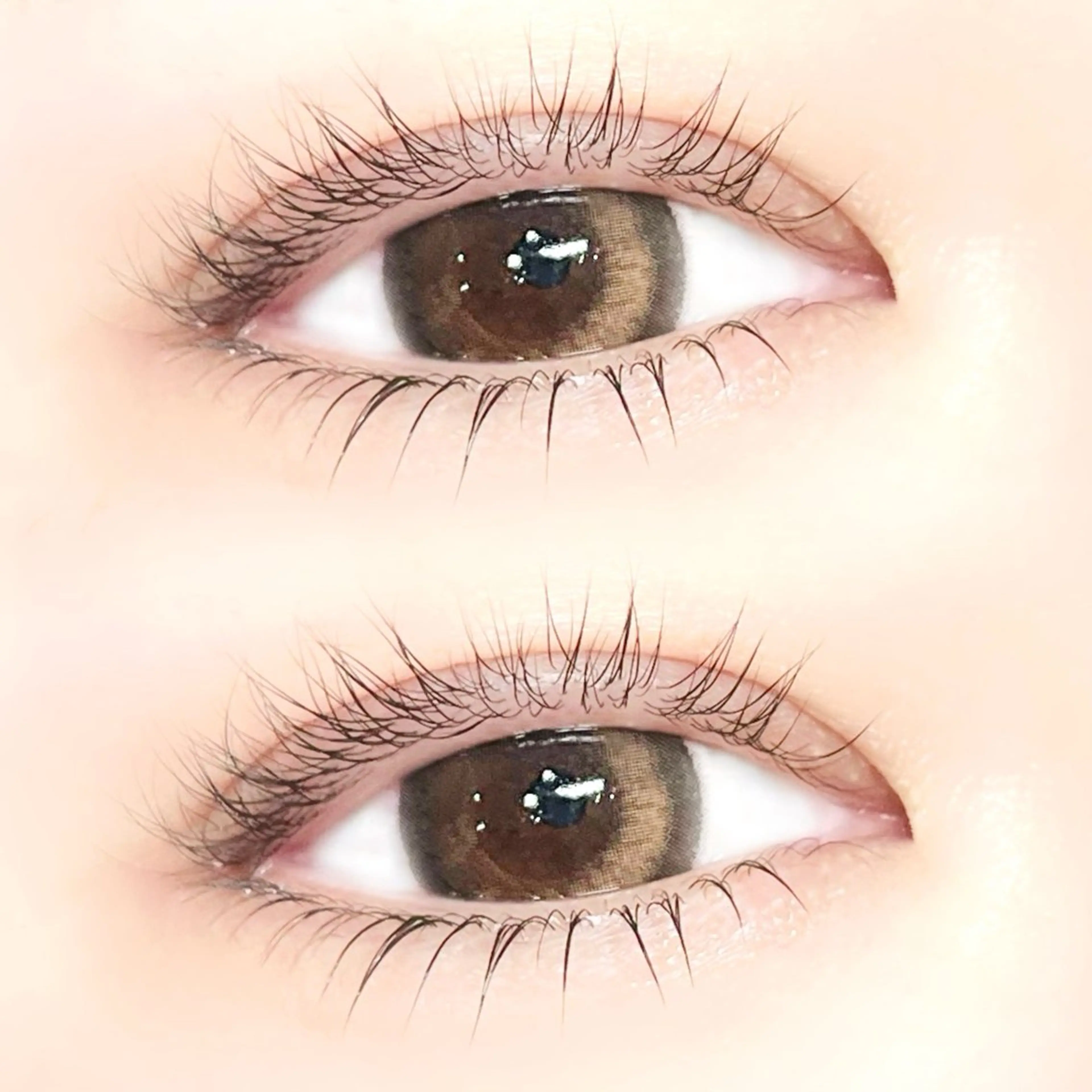 マツエク・マツパ まつげパーマ 下まつげエクステ eyelash salon Rongui所属・eyelash Ronguiのマツエク・マツパデザイン