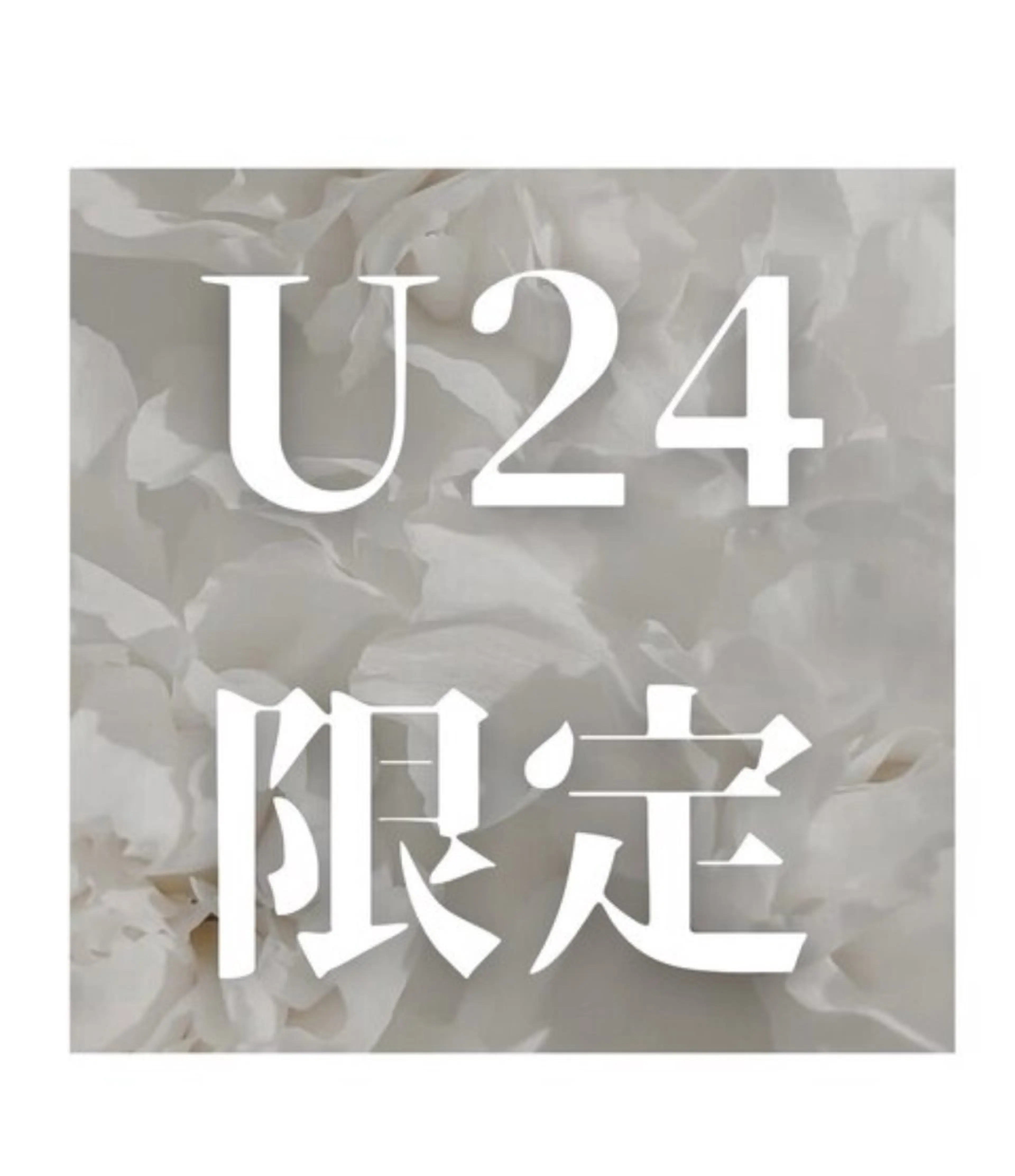 【U24 ご新規様】ダブルフラット60束(オフ無し)の写真