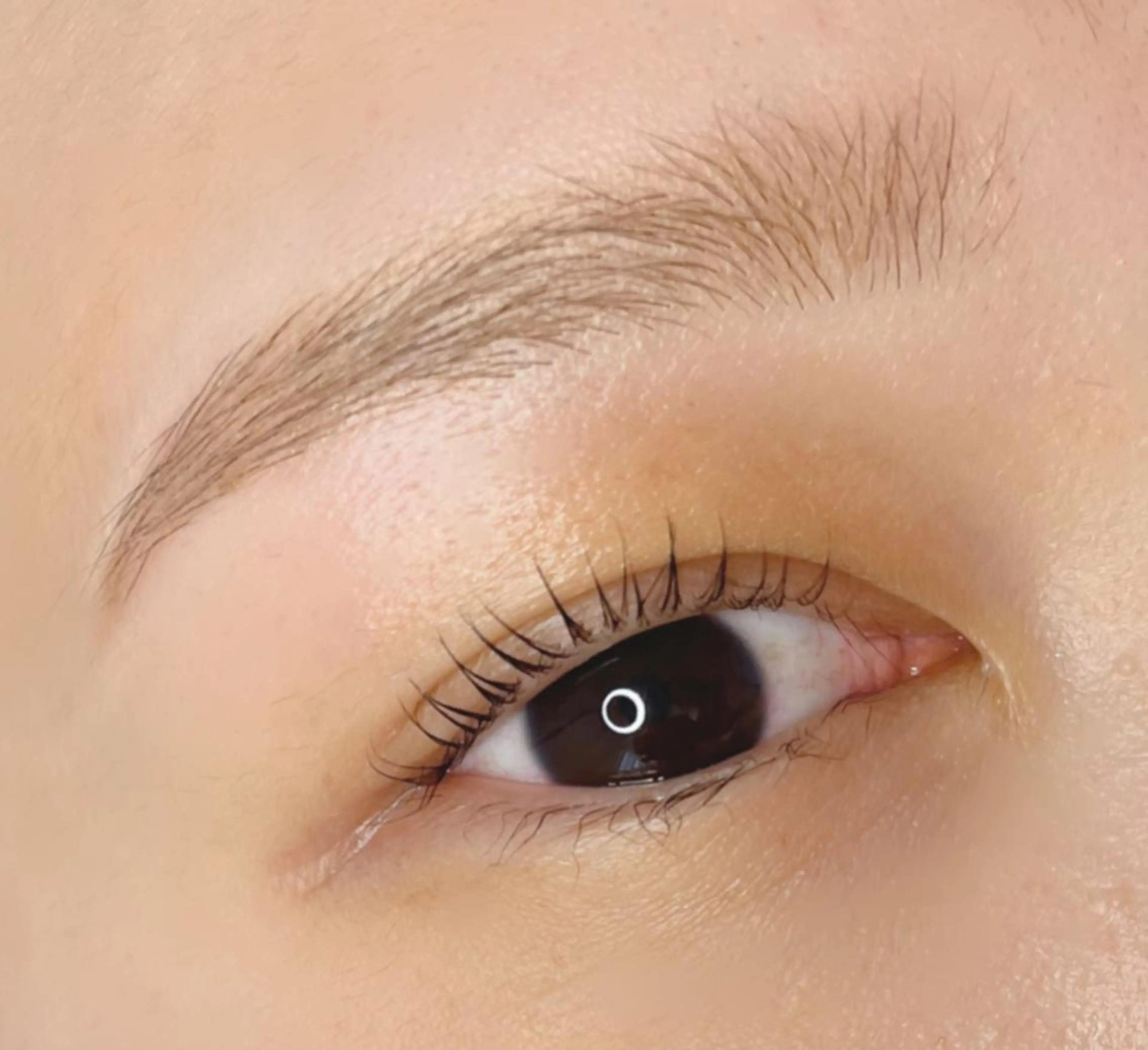 マツエク・マツパ 《eyelash ｉｉｔｅ》森のマツエク・マツパデザイン