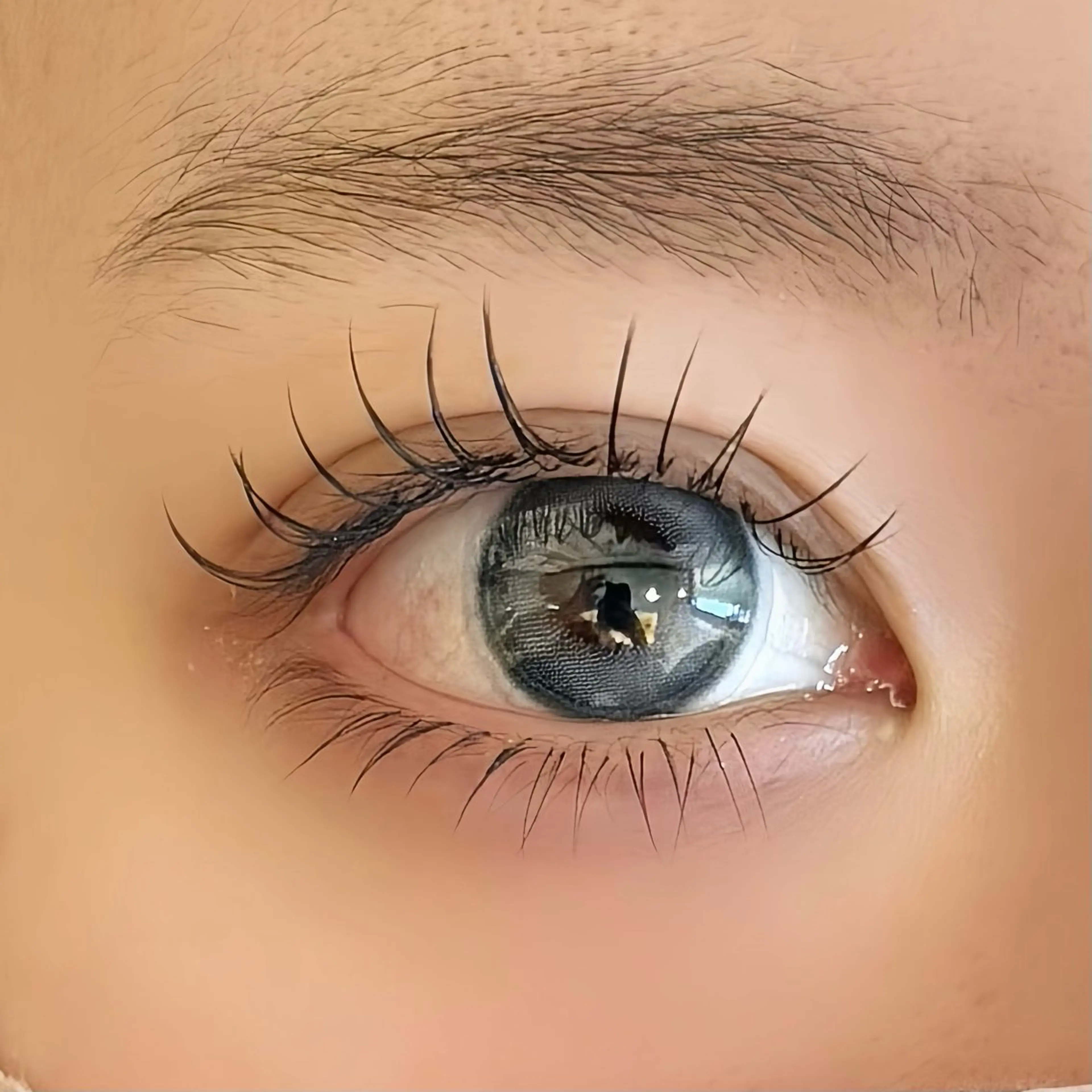 【初回オフ無料🌿】マツエク上下メニュー🥂♡（上~120下~40）の写真