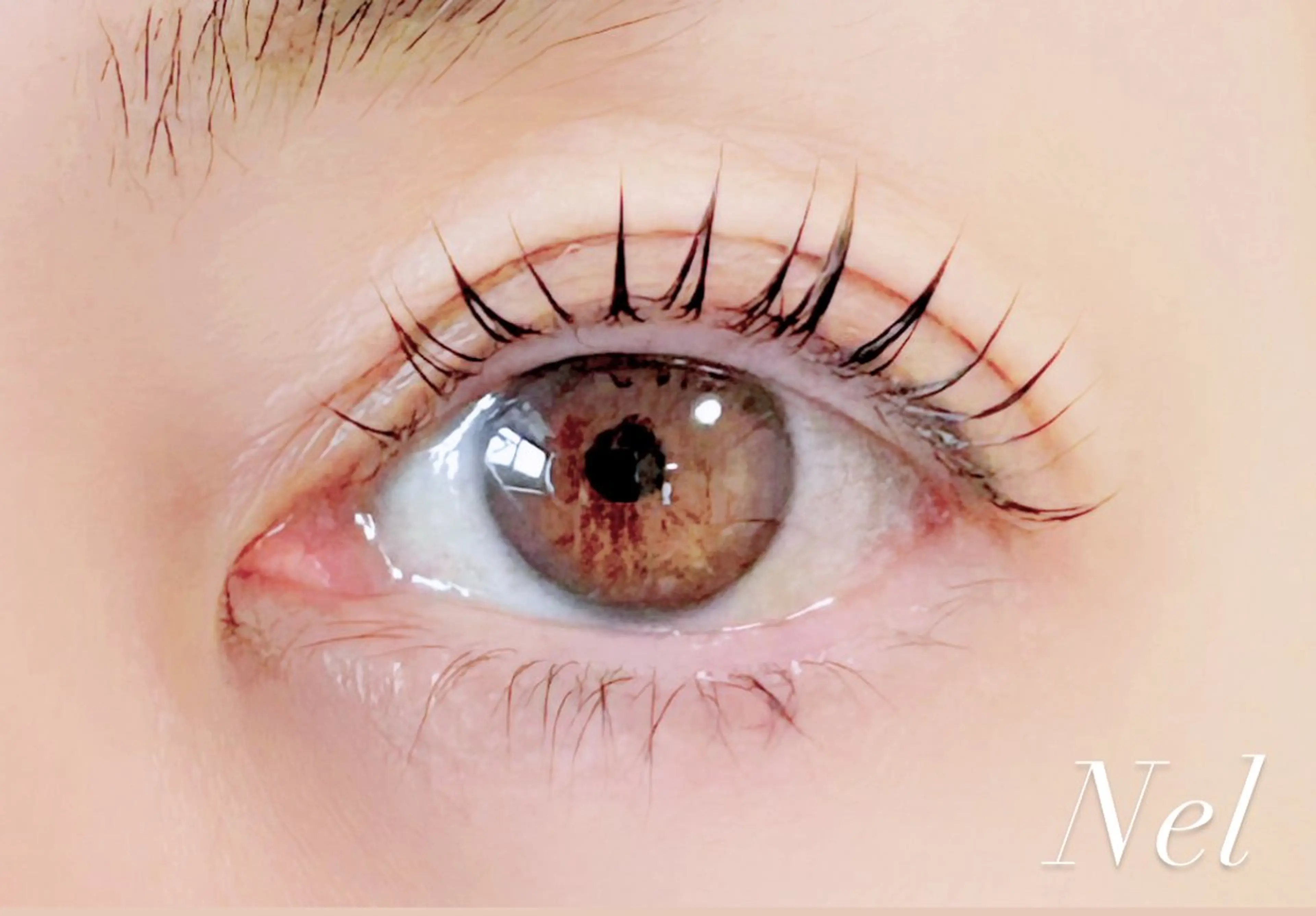 マツエク・マツパ パリジェンヌラッシュリフト Nel miwaのマツエク・マツパデザイン