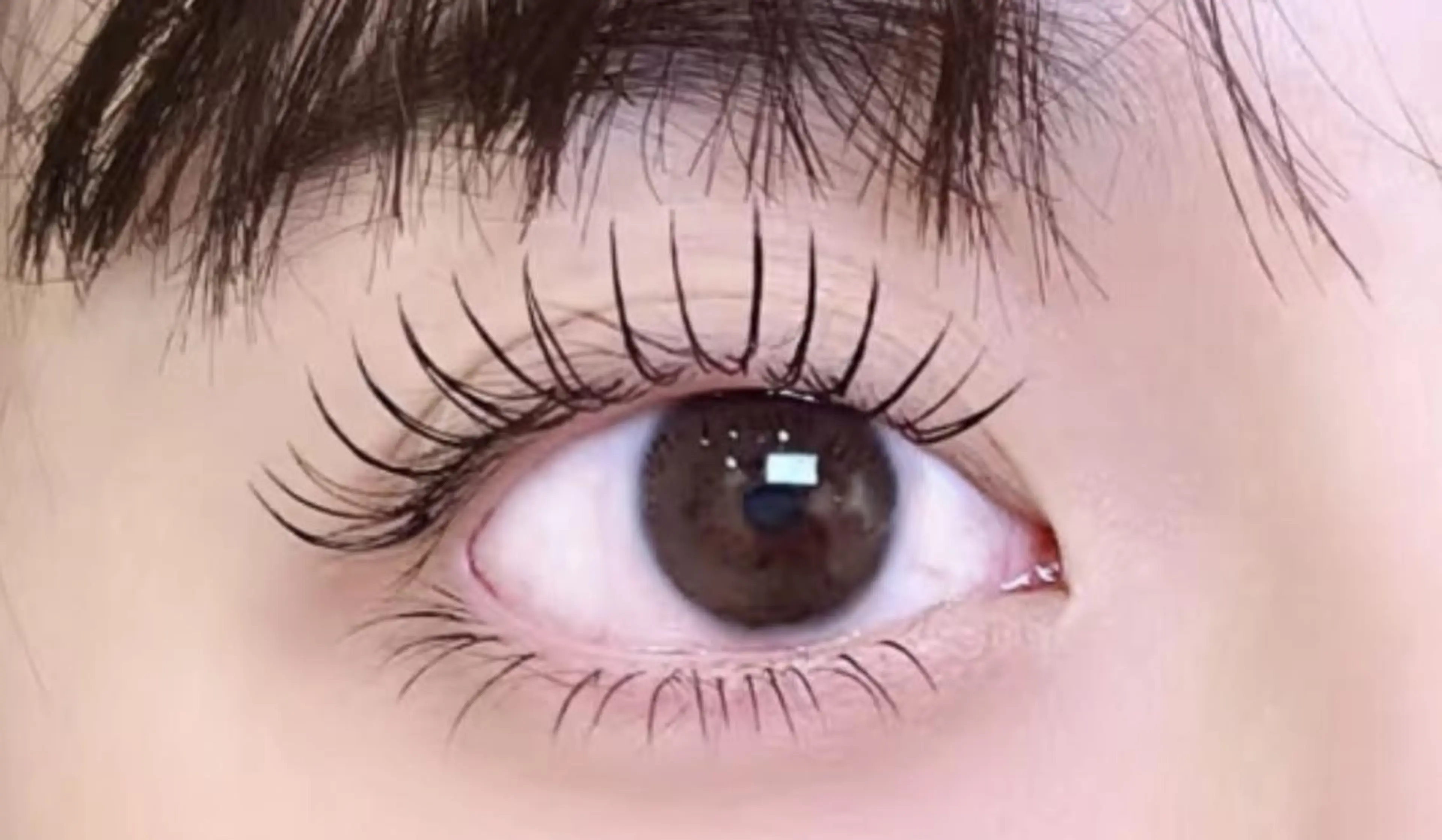 マツエク・マツパ Cute Beauty🌷のマツエク・マツパデザイン