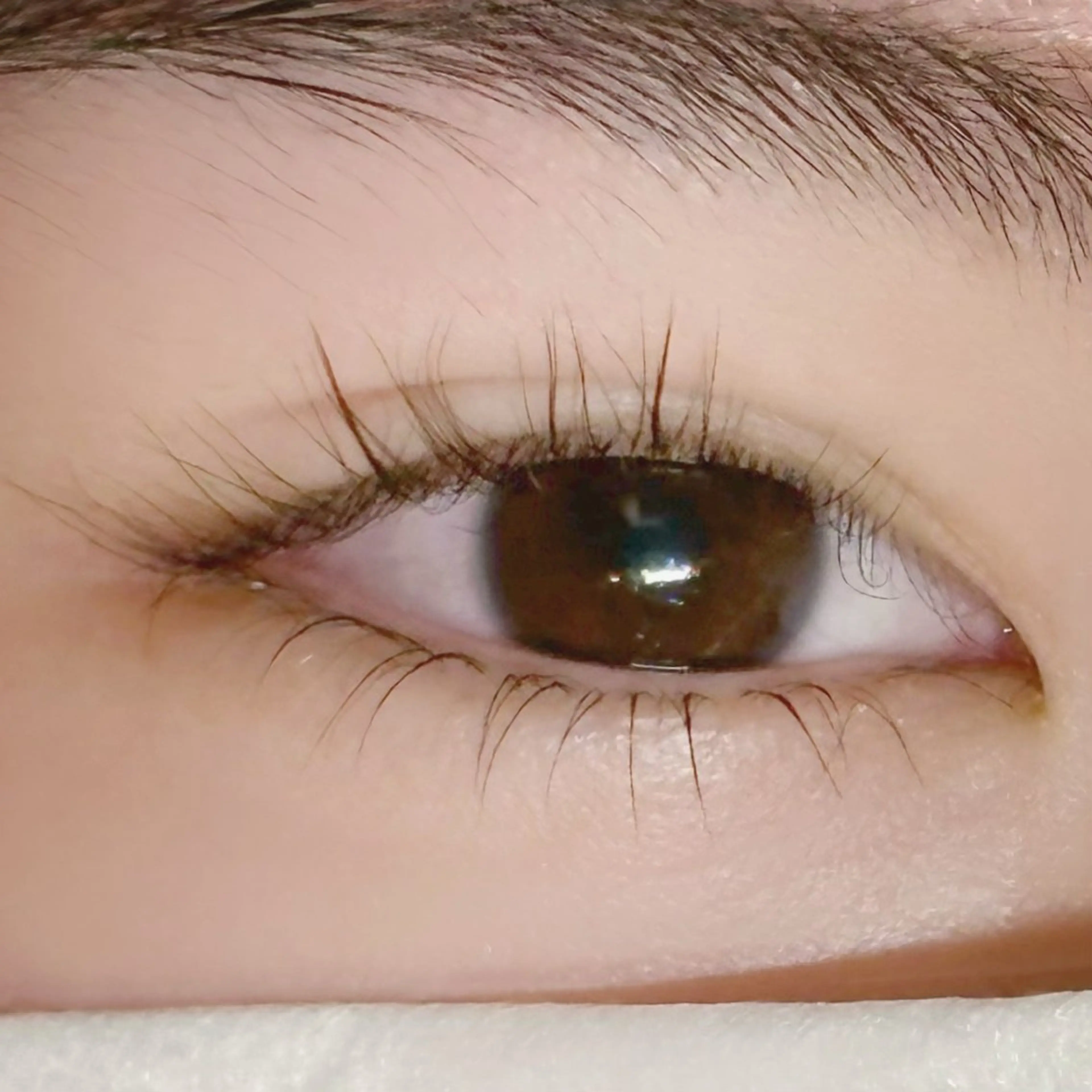 マツエク・マツパ 下まつげエクステ 一重×まつ毛パーマ MAQUIA所沢店所属・MAQUIA所沢店 ERIのマツエク・マツパデザイン