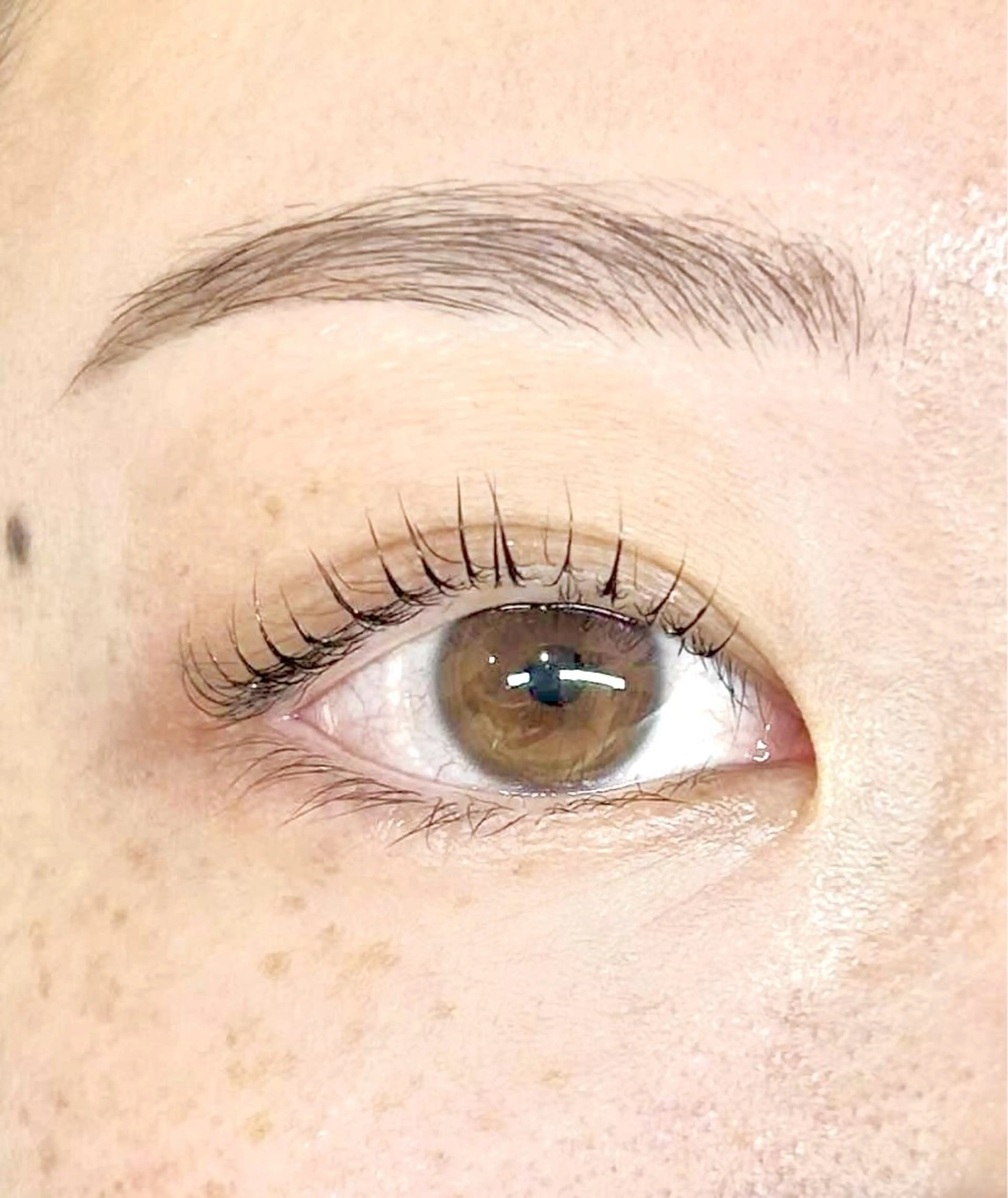 🇰🇷🧡🥭話題のマンゴーロッド🥭🧡🇰🇷の写真