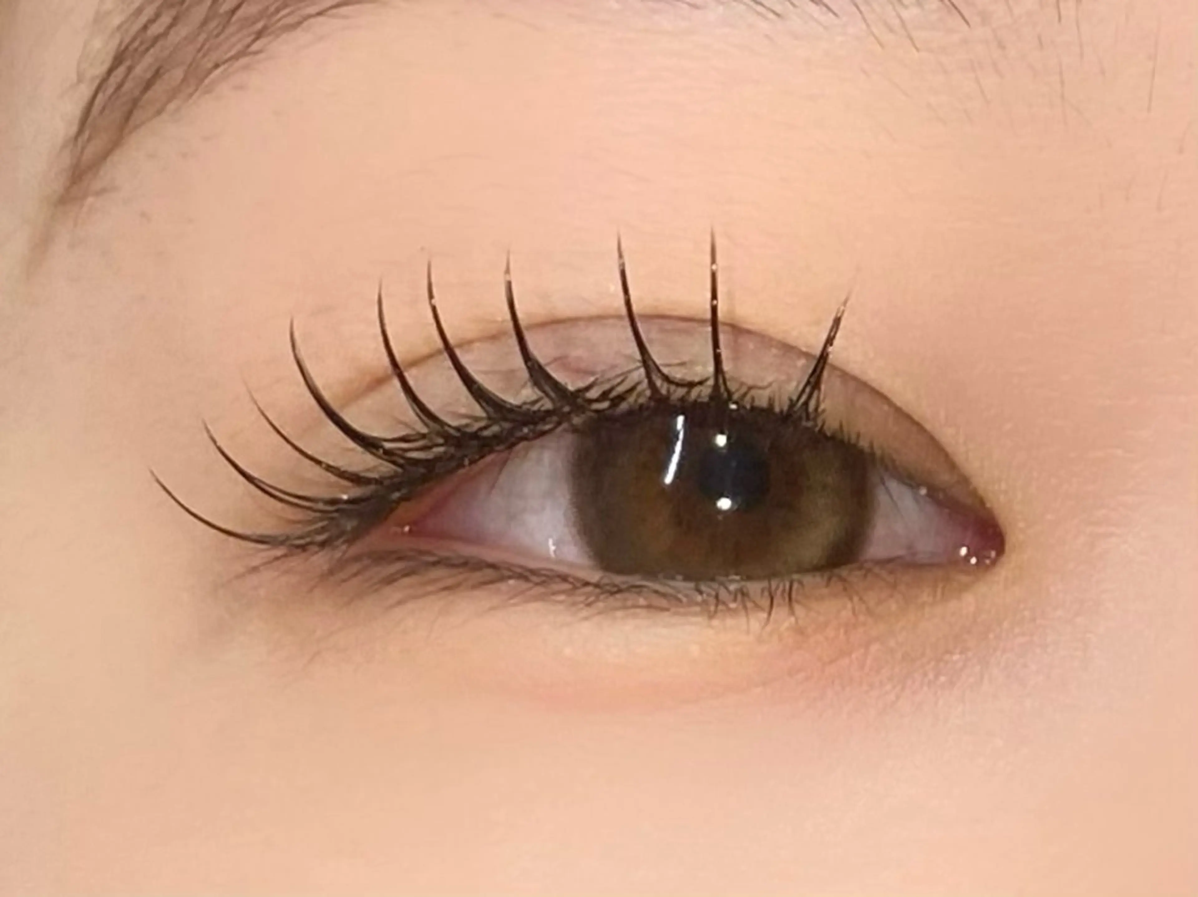 本日限定！LEDエクステ‼️フラットラッシュ80本👀💕⭐️【所要時間90分】の写真