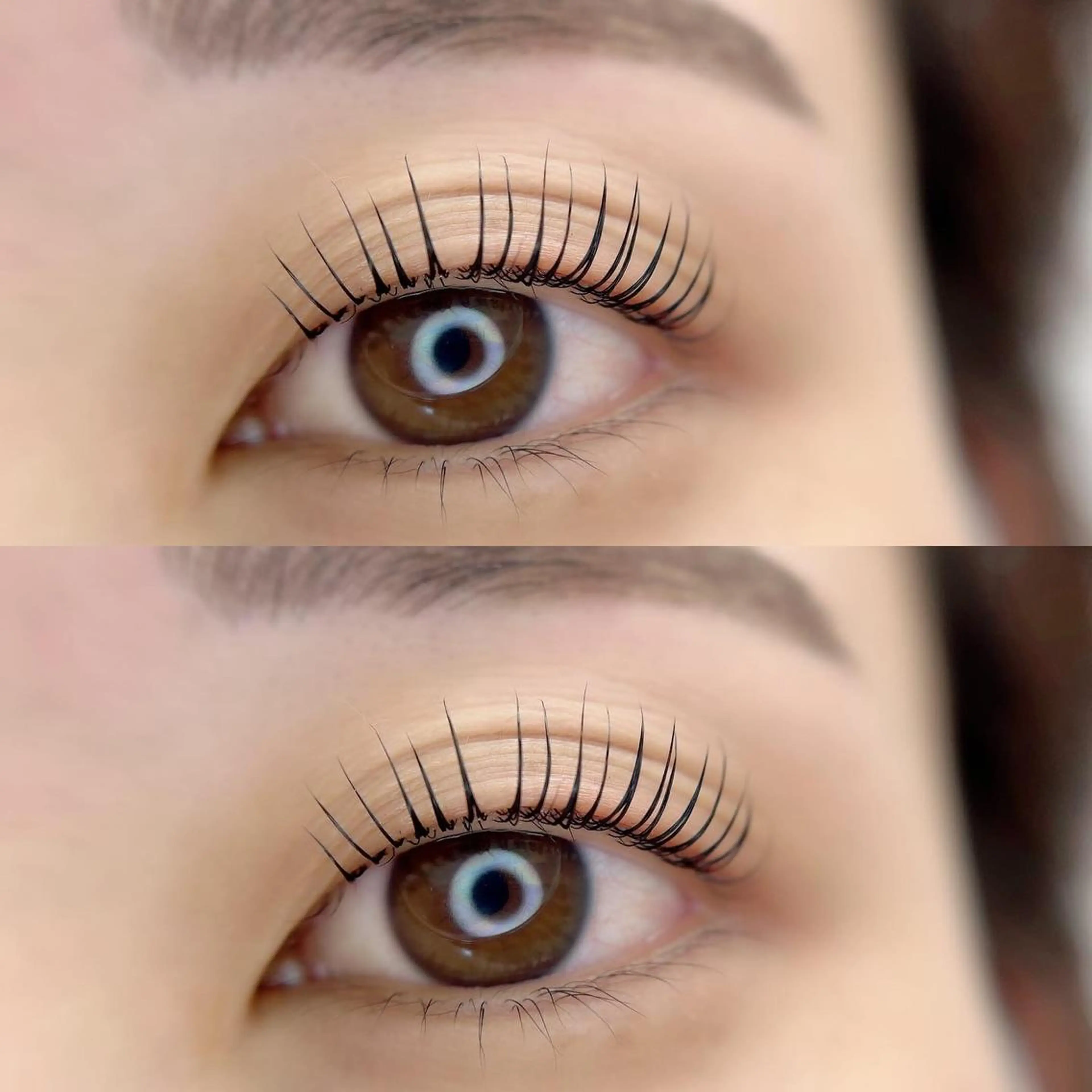 マツエク・マツパ アイブロウ ecru. eyelashのマツエク・マツパデザイン