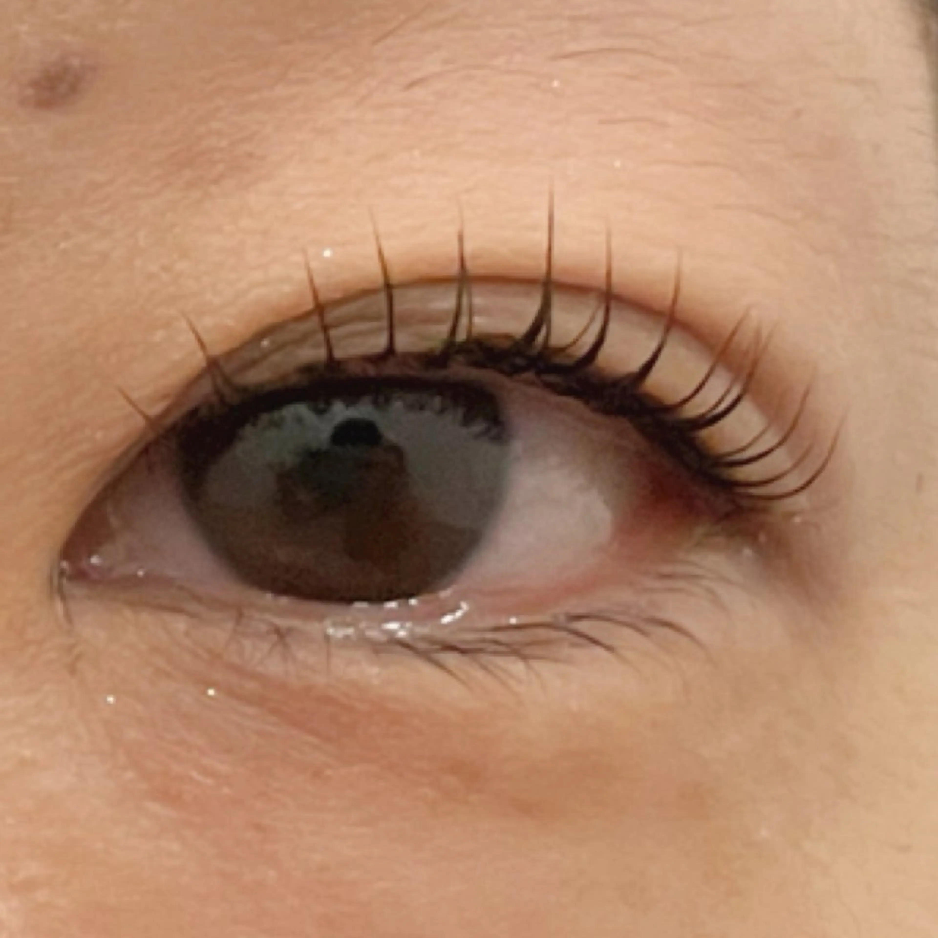 マツエク・マツパ yoshii 💐のマツエク・マツパデザイン