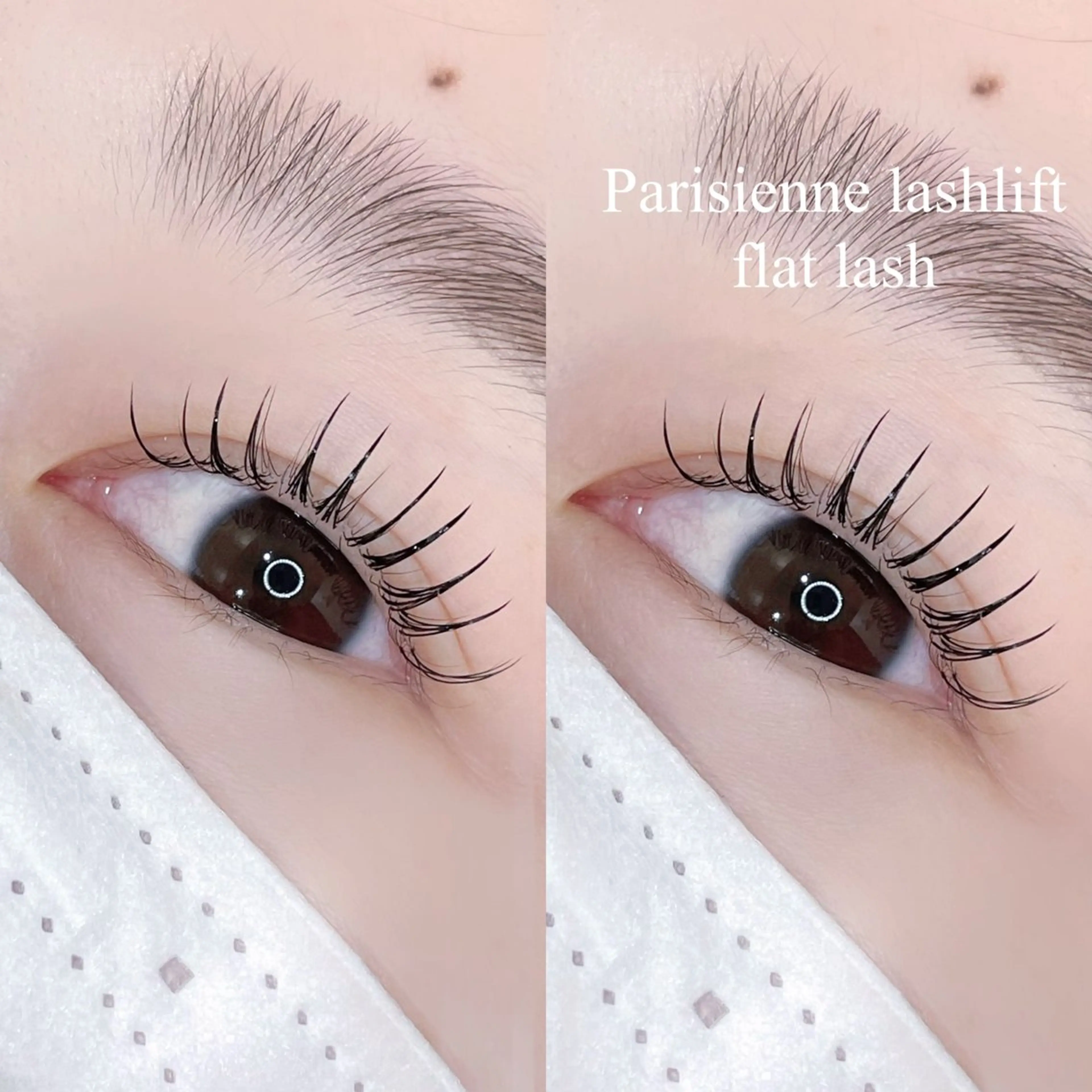 ‼️期間限定‼️【パリエク】🩰 60本- ̗̀ 🫧アイシャンプー付き🧴‎🤍  ̖́-の写真