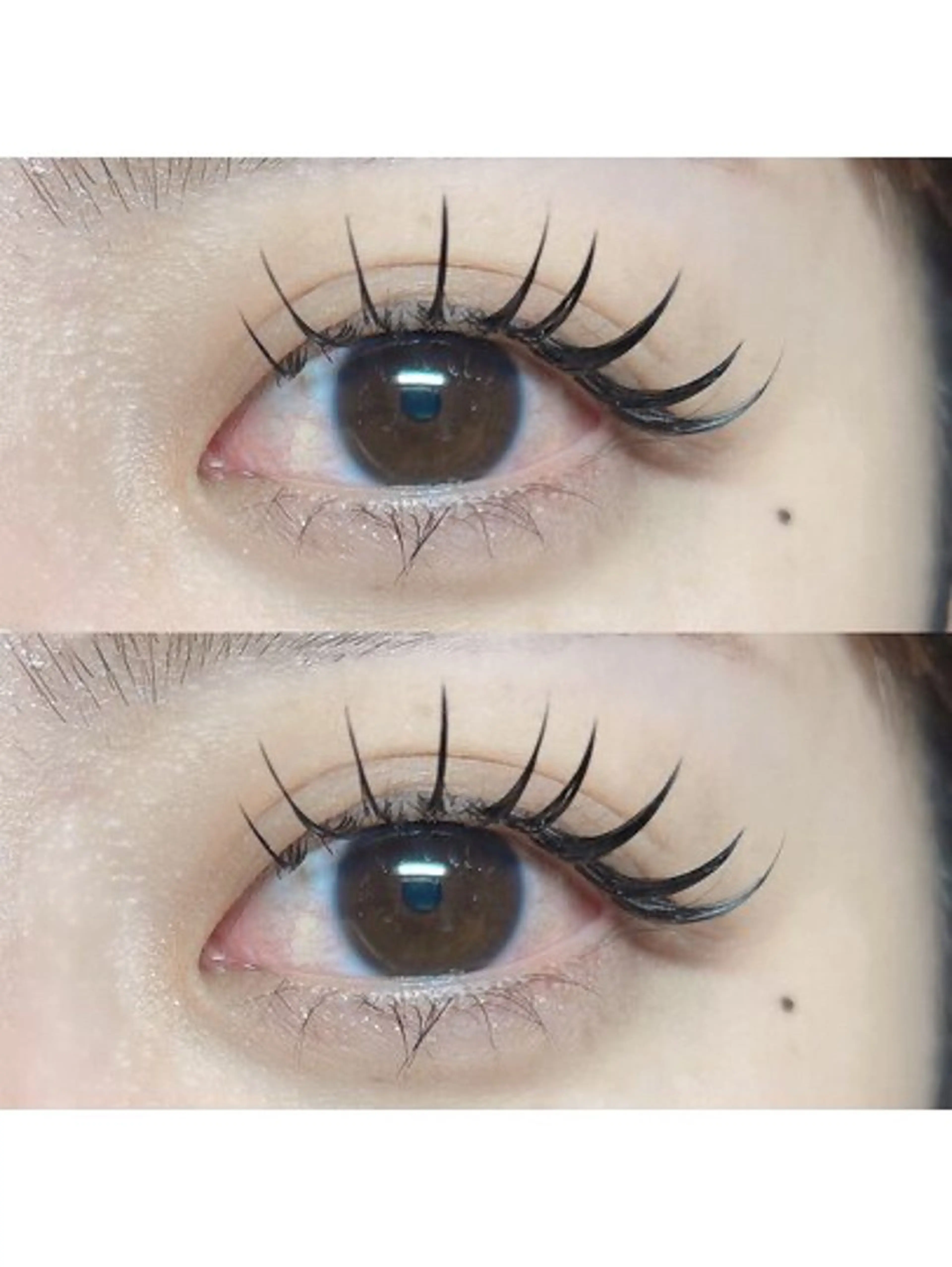 マツエク140本(オフ込)フラット+¥500/カラー+¥1000/コーティング+¥600/LED+￥1000の写真