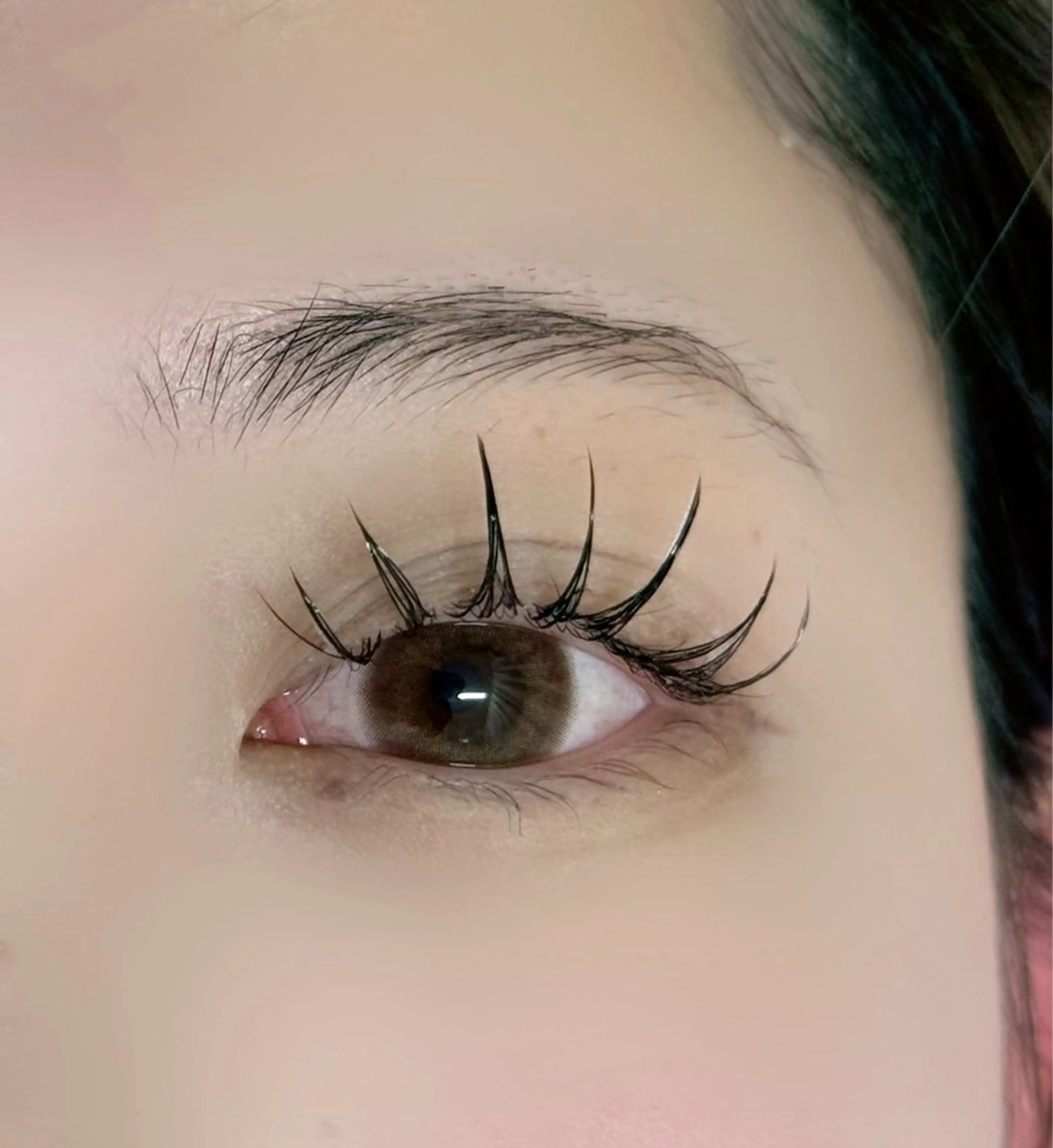 【オフ対応不可】フラットラッシュ120本の写真