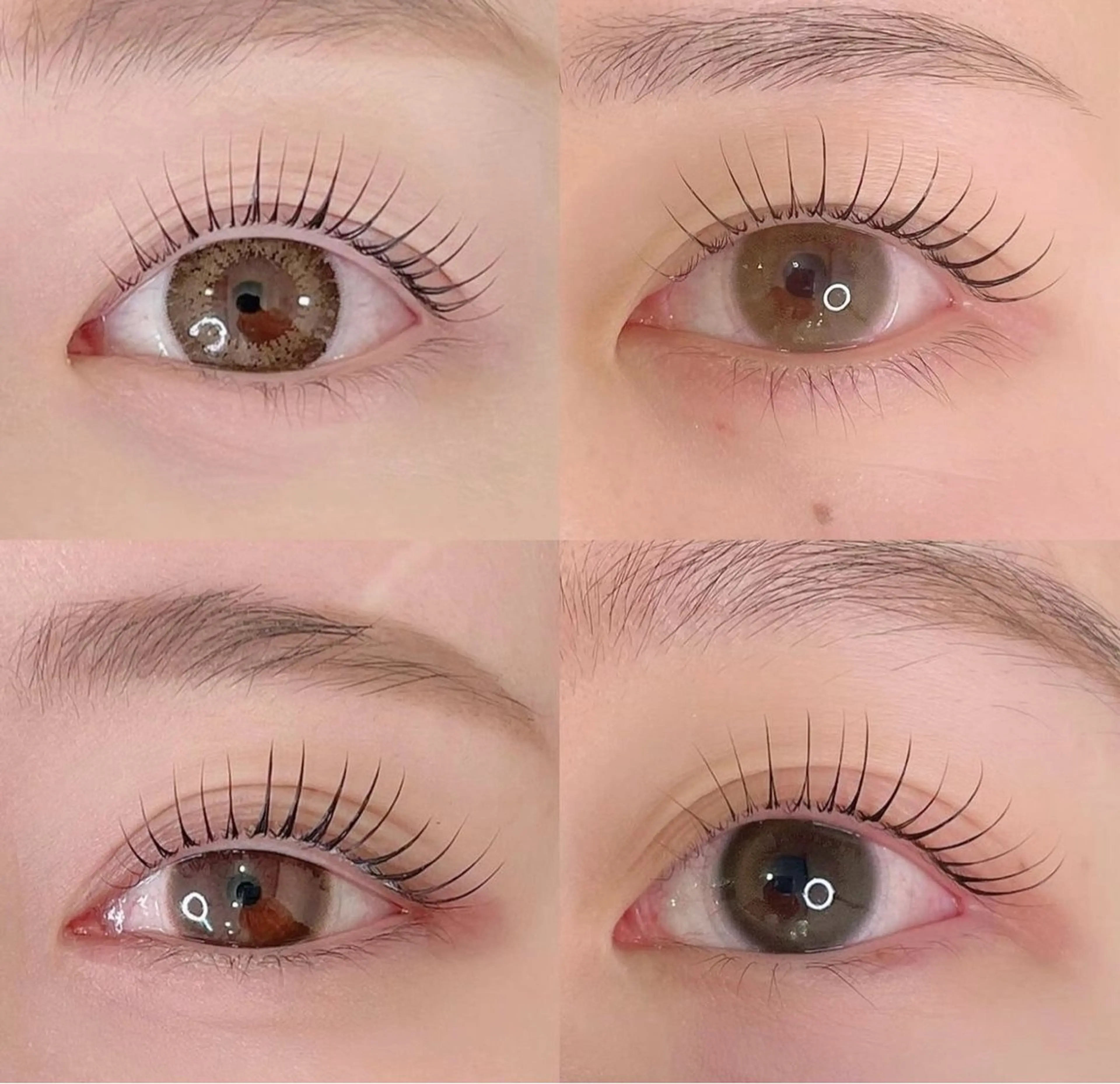 【リピーター様限定🌼】まつ毛パーマ上🦋コーティング仕上げ付き🎀の写真