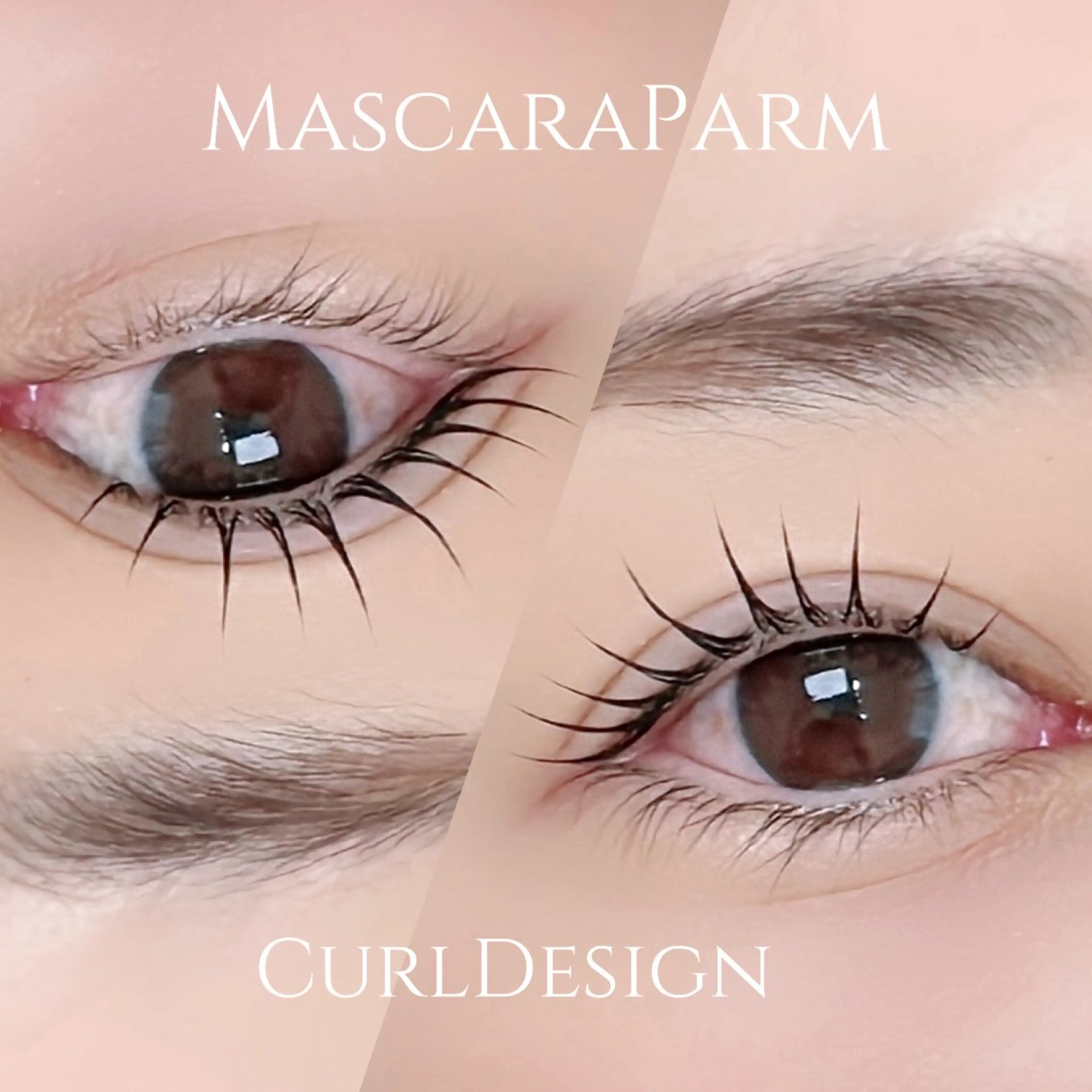 韓国で大流行🇰🇷マスカラパーマ　（ブラックテントの持ちは2週間​〜​4週間、パーマの持ちは6週間​〜​8週間）の写真