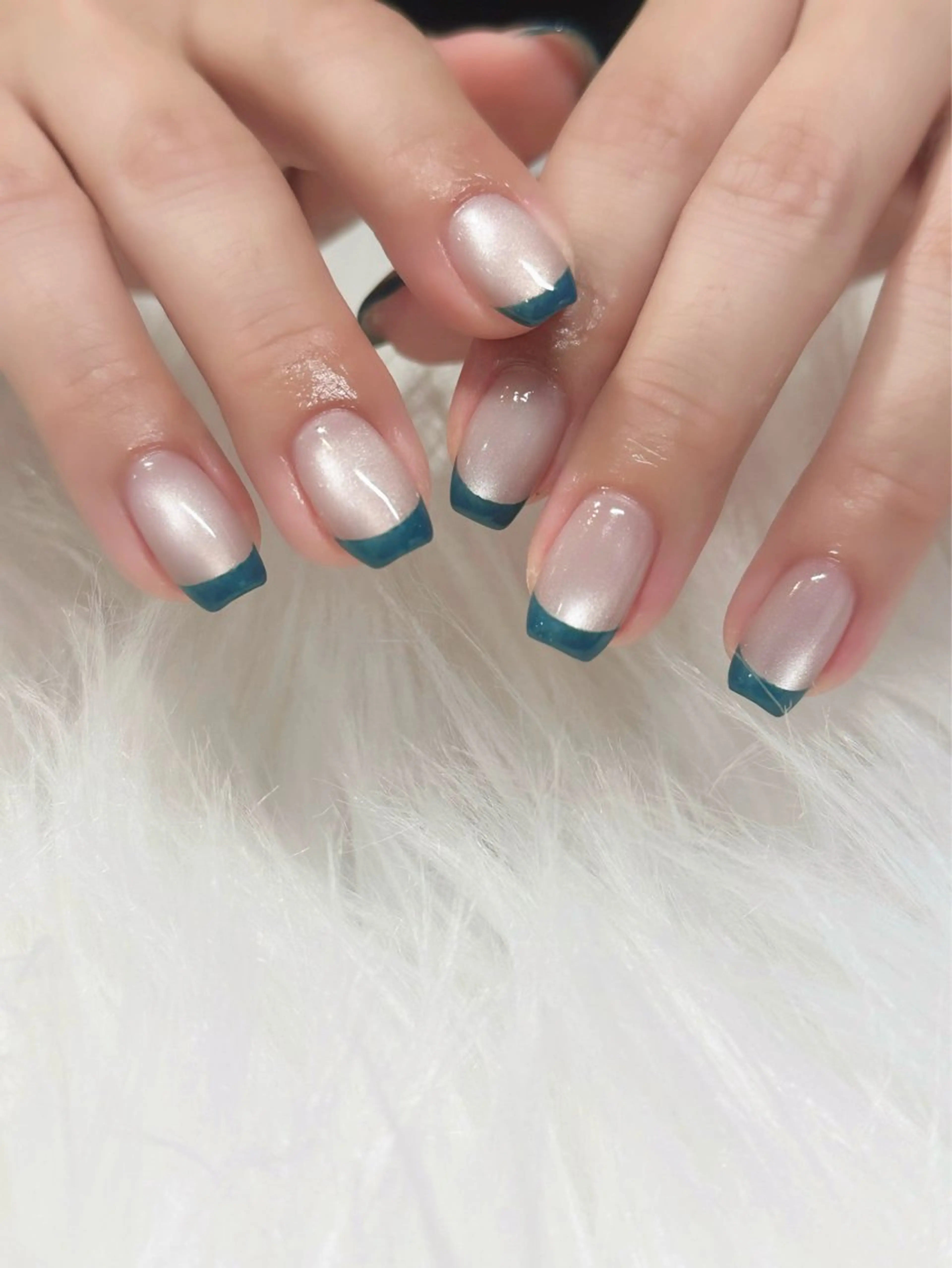 【オフなし】フレンチの写真