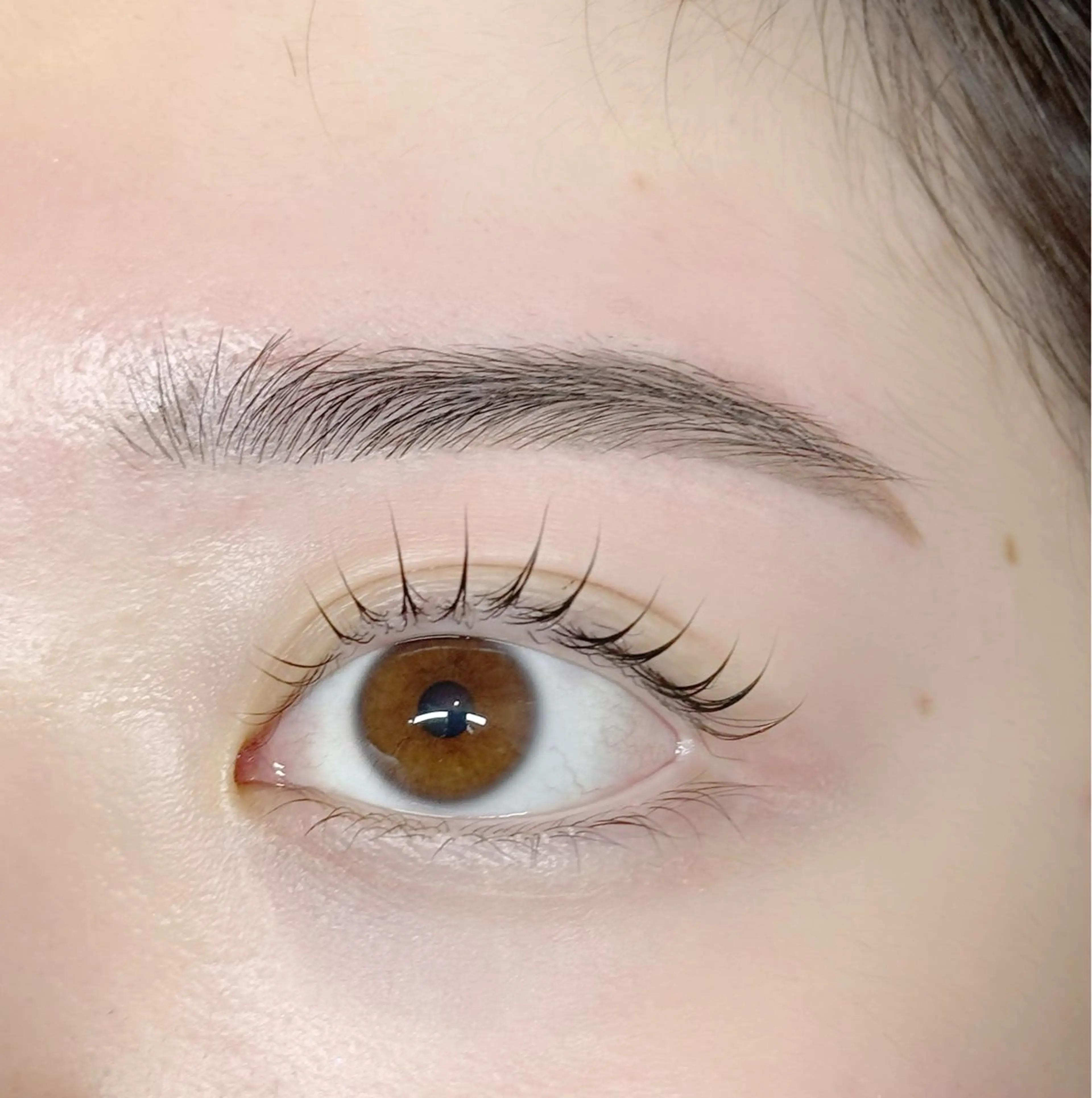 🌷🤍【パリジェンヌ】or【似合わせまつげパーマ】➕眉ワックスパーマ(カット込み)🌷‎🤍の写真