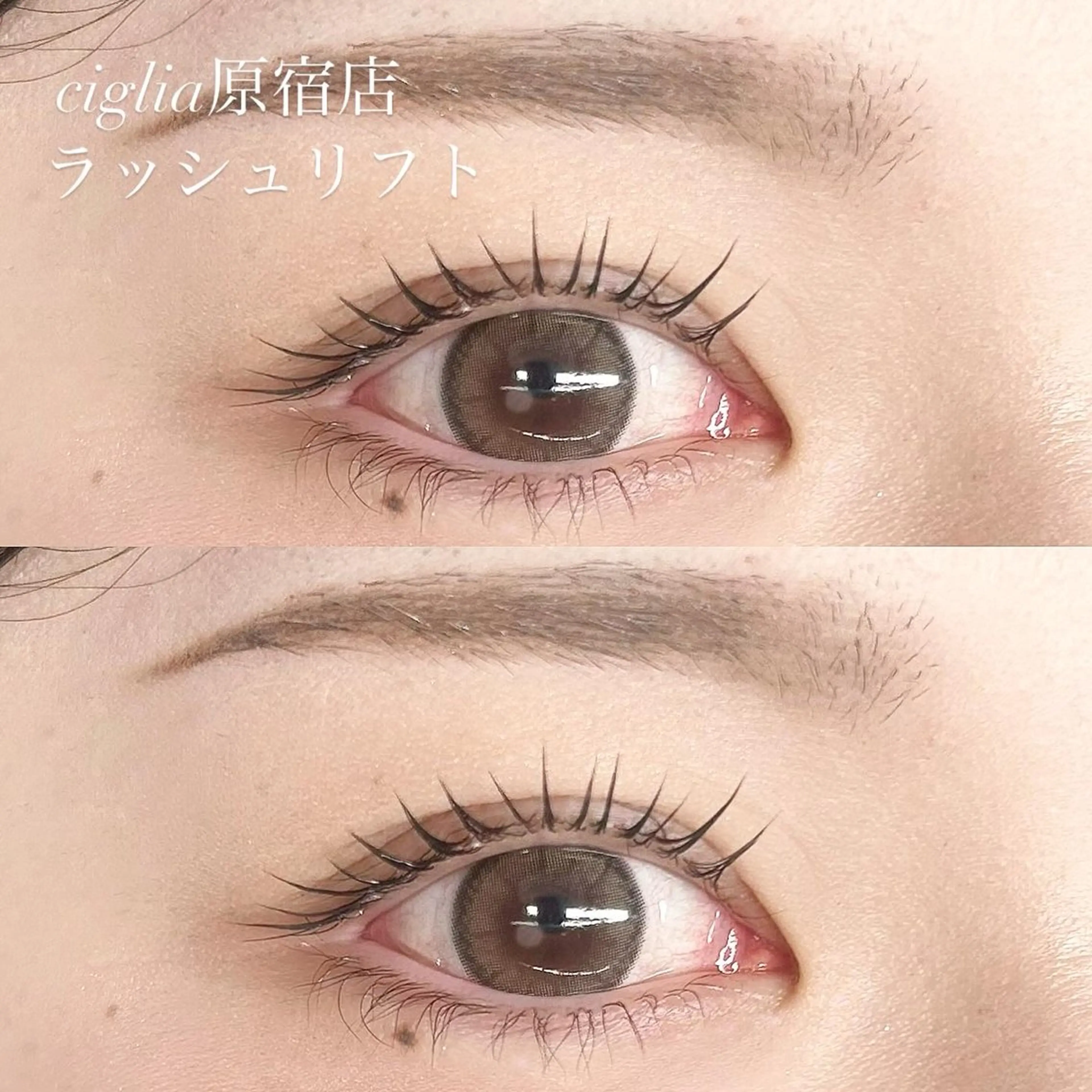 マツエク・マツパ ciglia 原宿店のマツエク・マツパデザイン