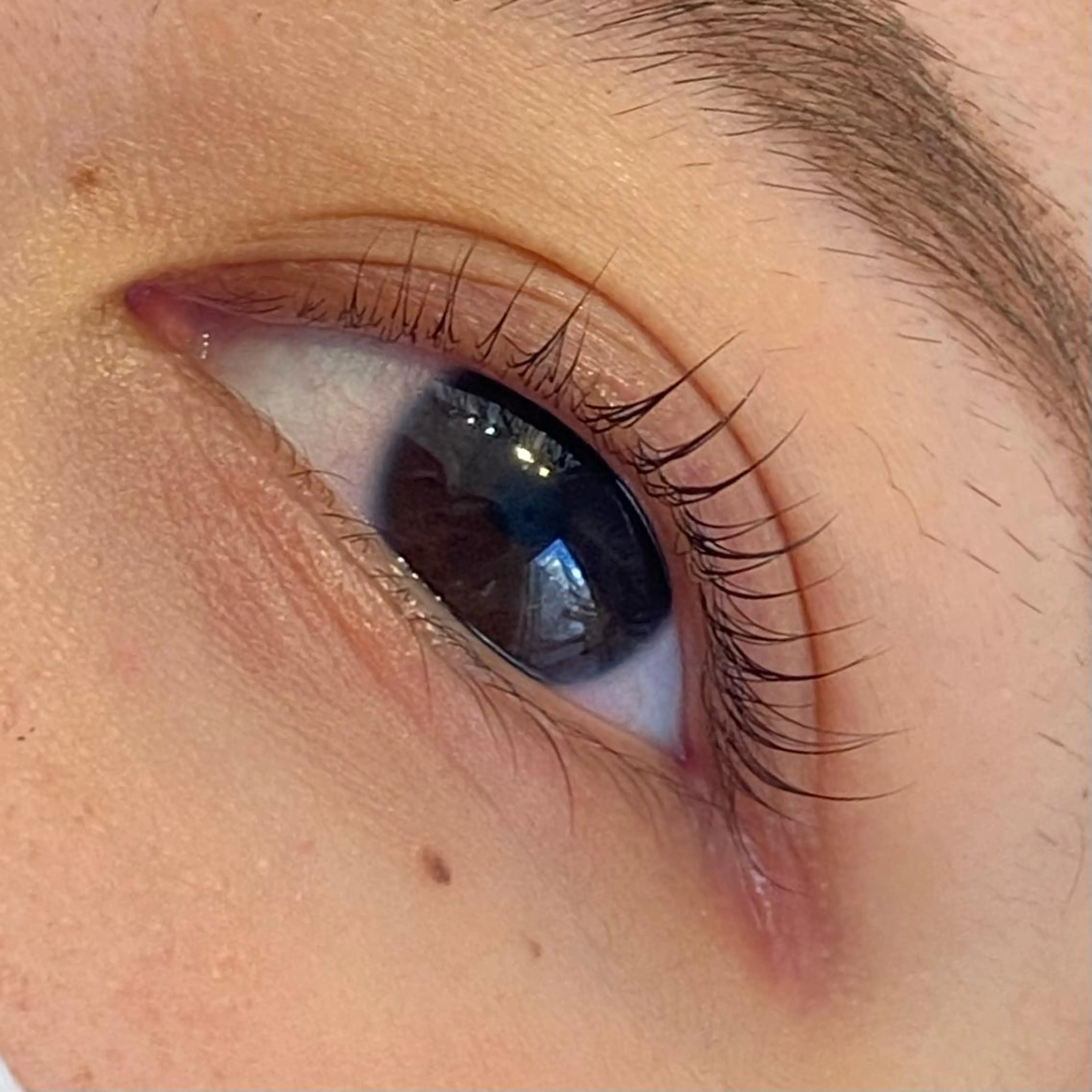 マツエク・マツパ chatran ishimochiのマツエク・マツパデザイン